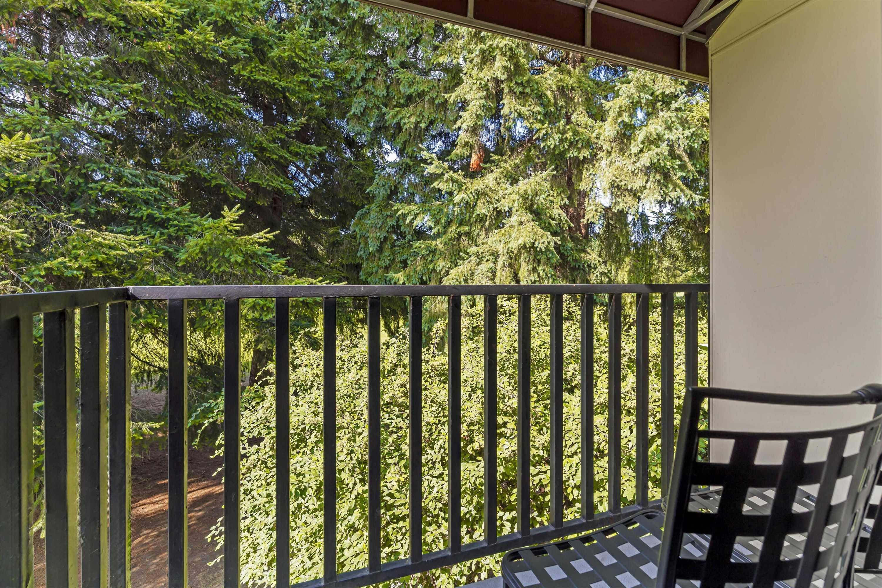 Gift card for Best Western Plus Plaza by The Green