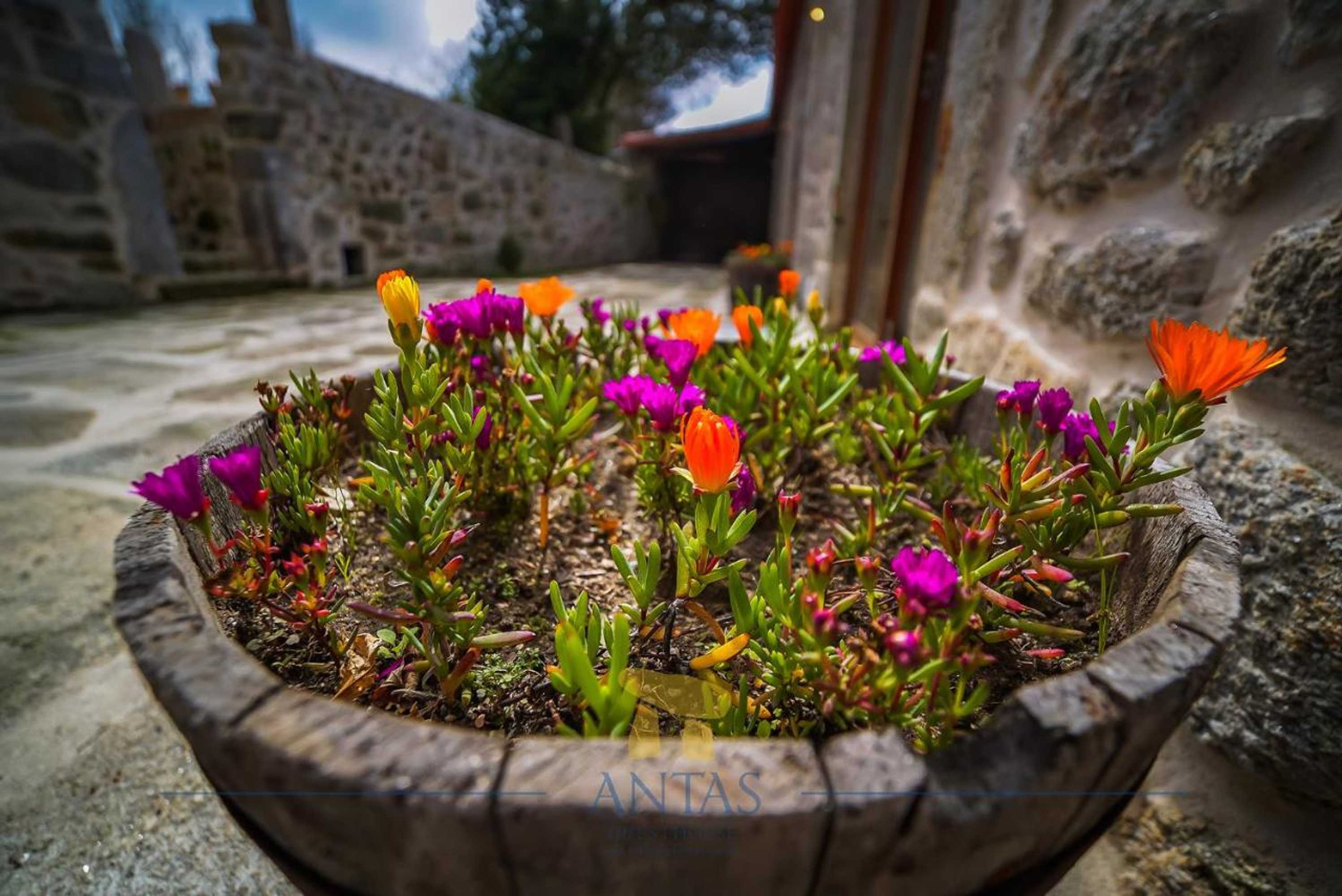 Gift card for Antas Guest House