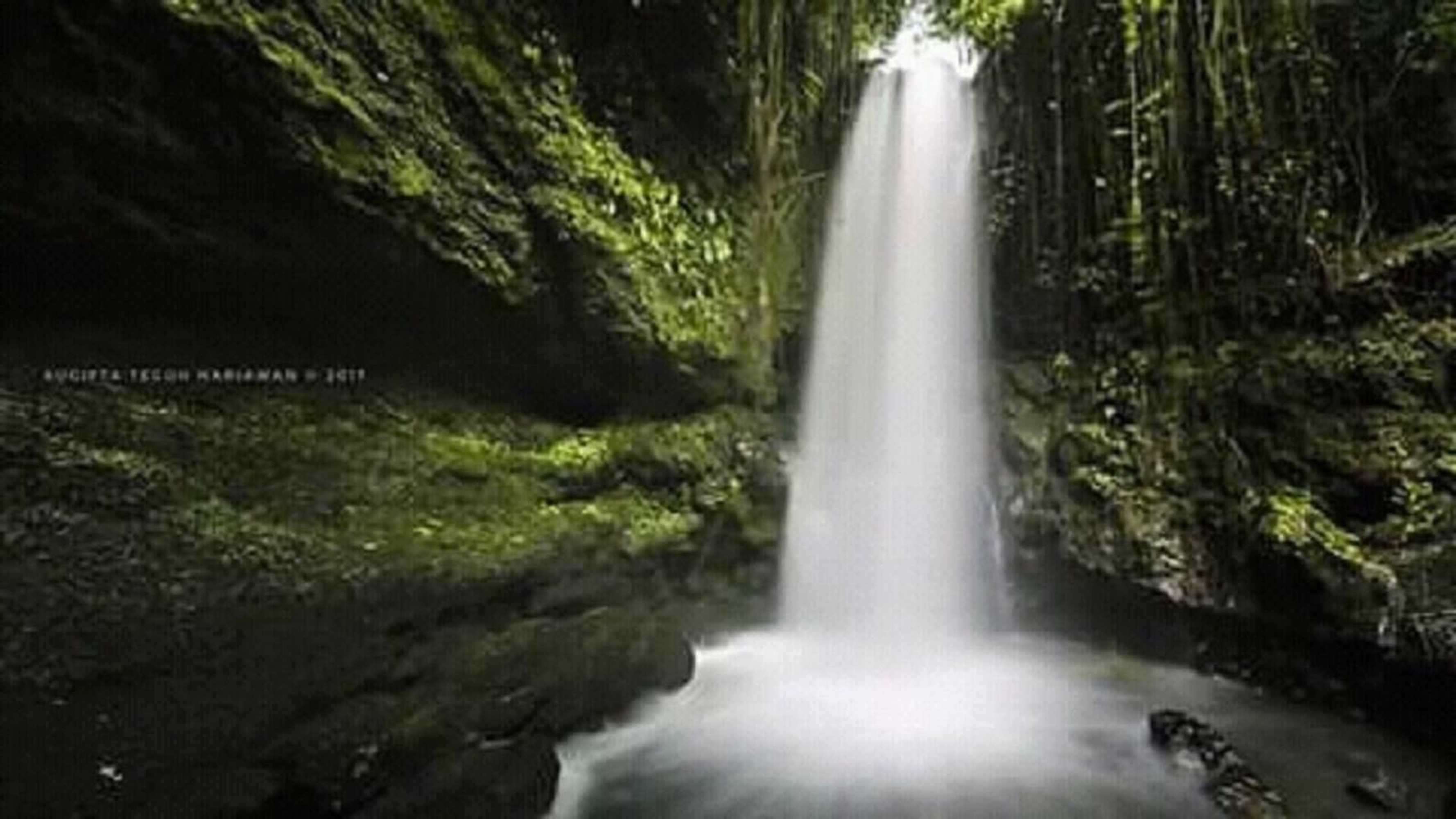 Gift card for Tereng Wilis Jungle Inn