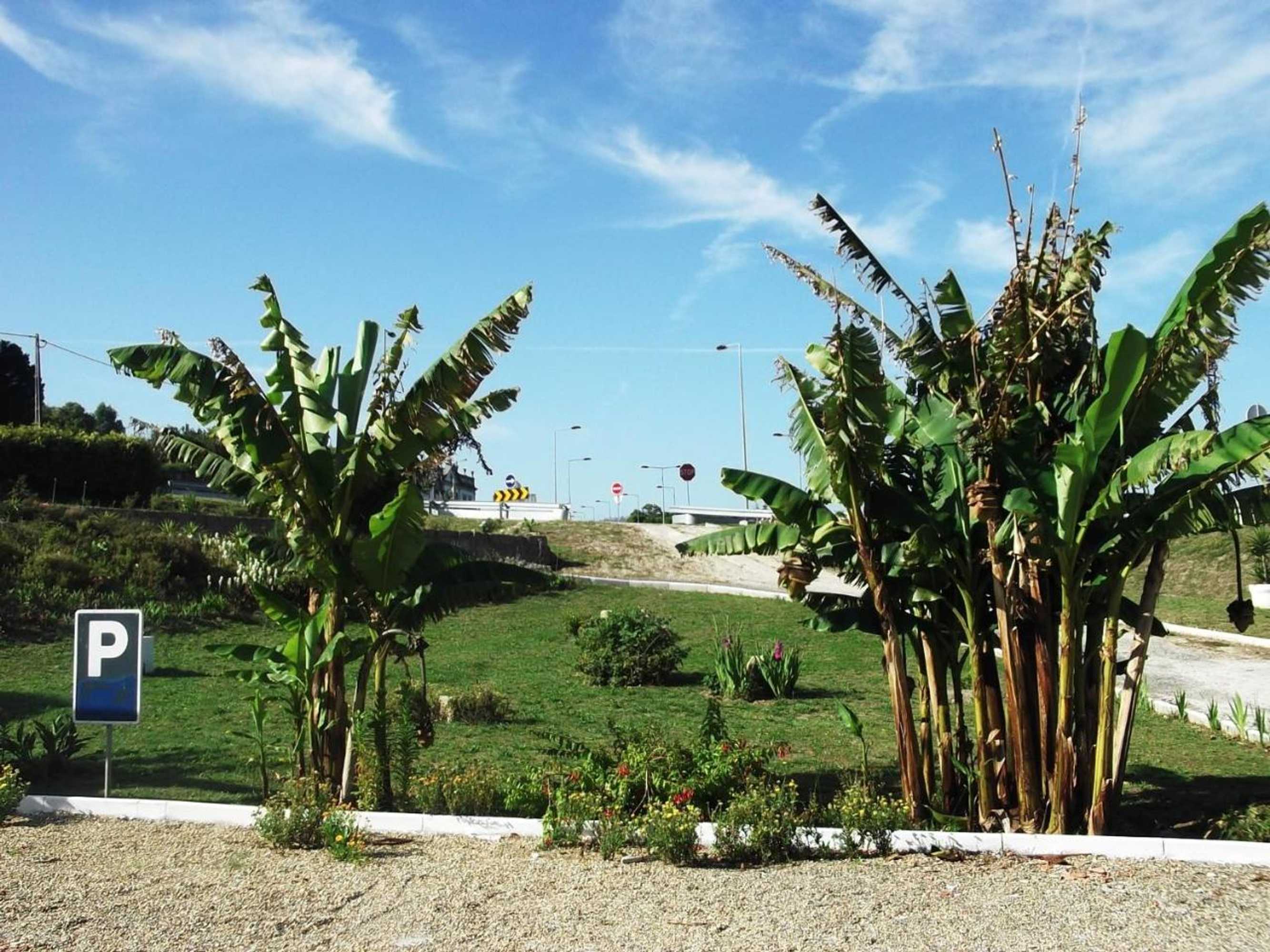 Gift card for Hotel Minho Belo