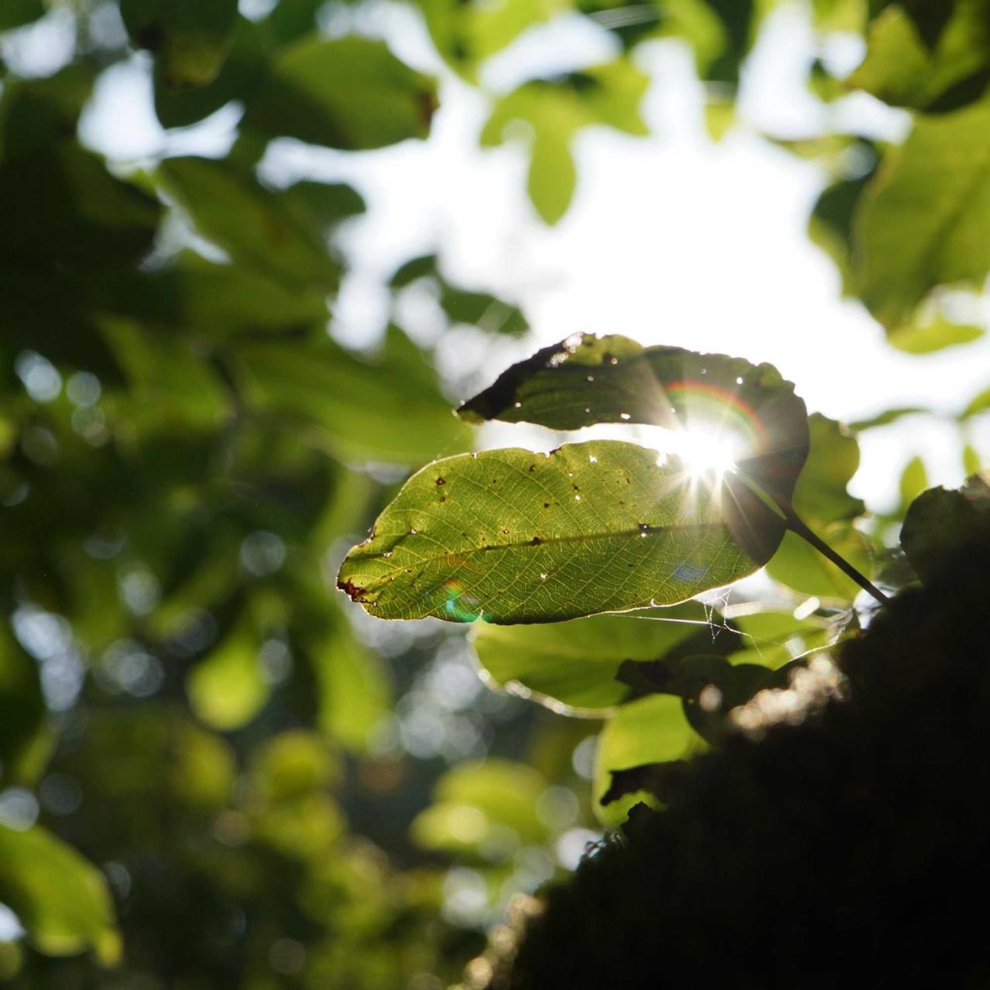 Gift card for Douro Suites