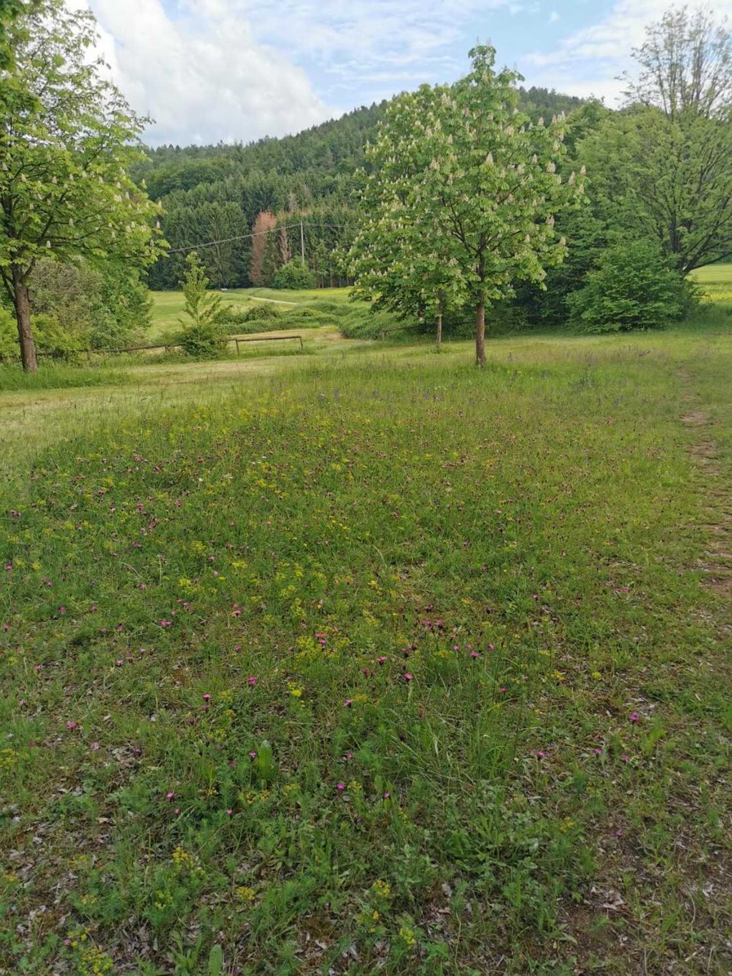 Gift card for Landhotel Ölmühle