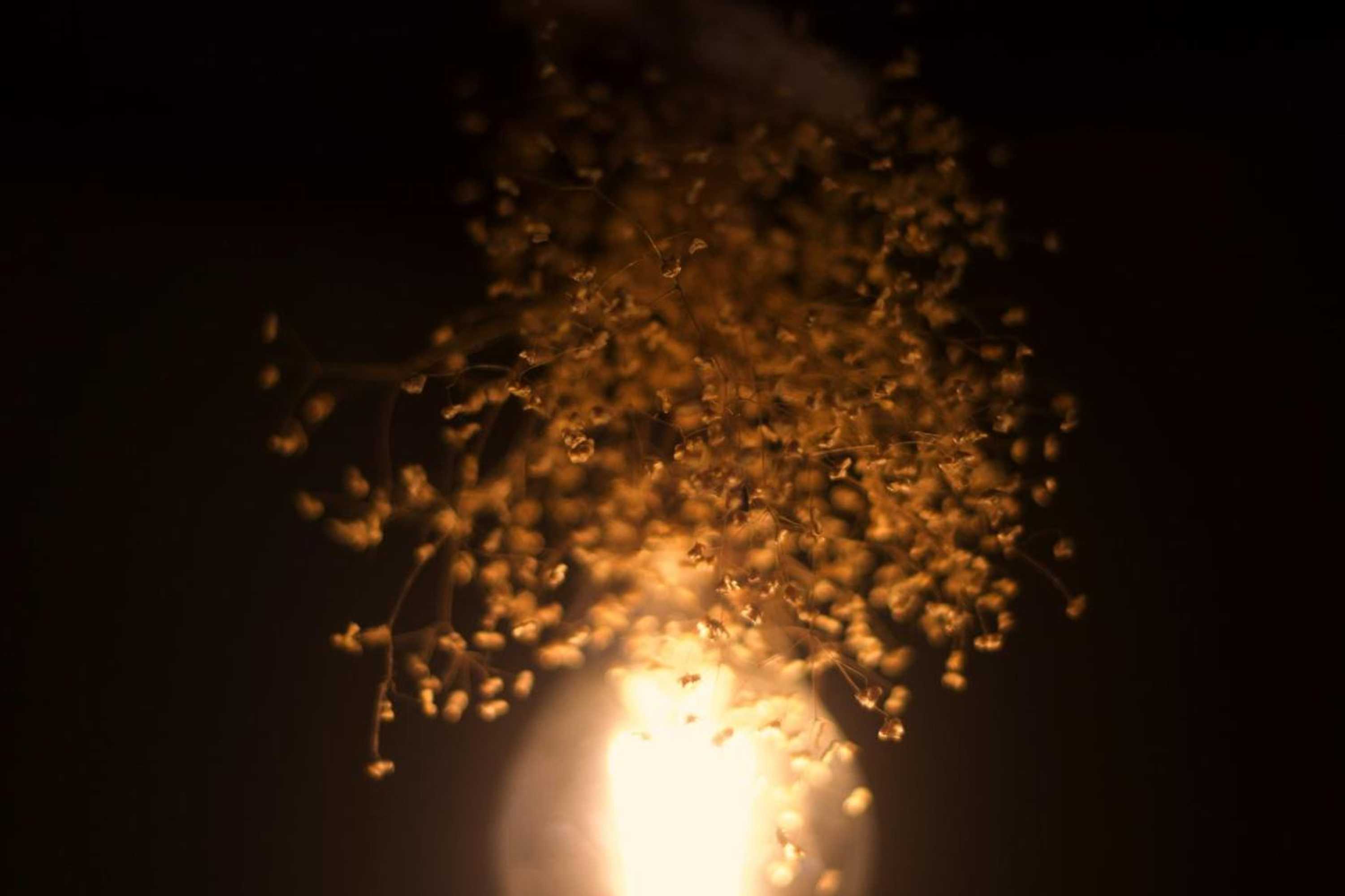 Gift card for Machicado