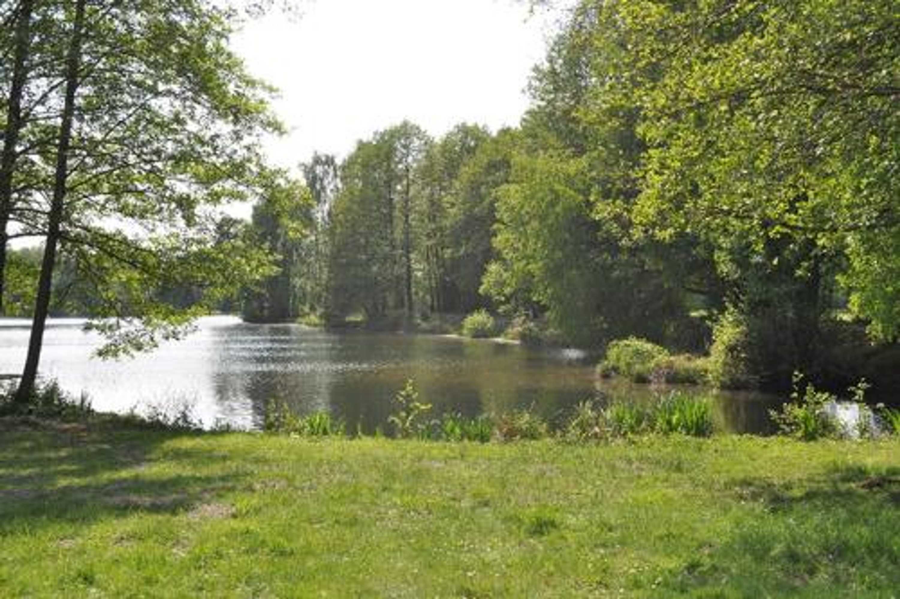 Gift card for Ferienpark Tannenbruchsee Gift card for Ferienpark Tannenbruchsee