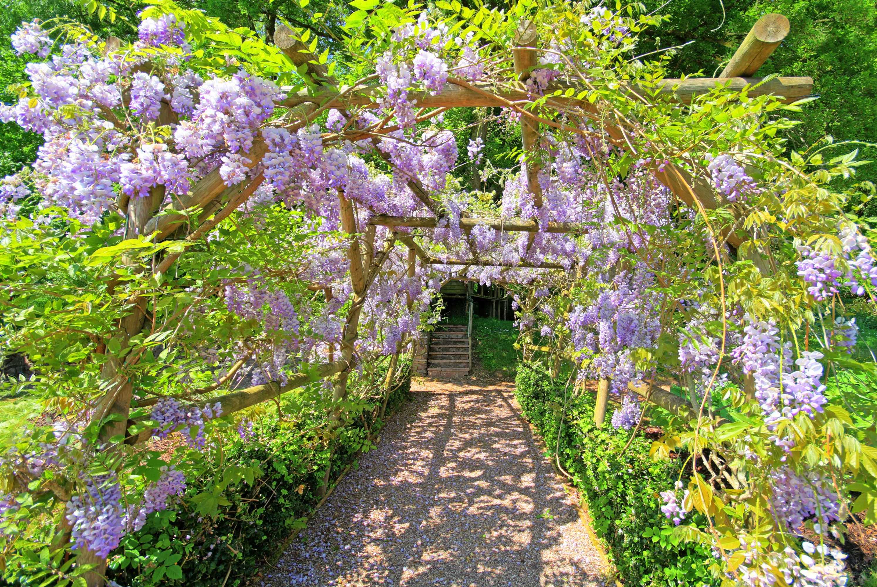 Gift card for Bickleigh Castle Hotel Gift card for Bickleigh Castle Hotel