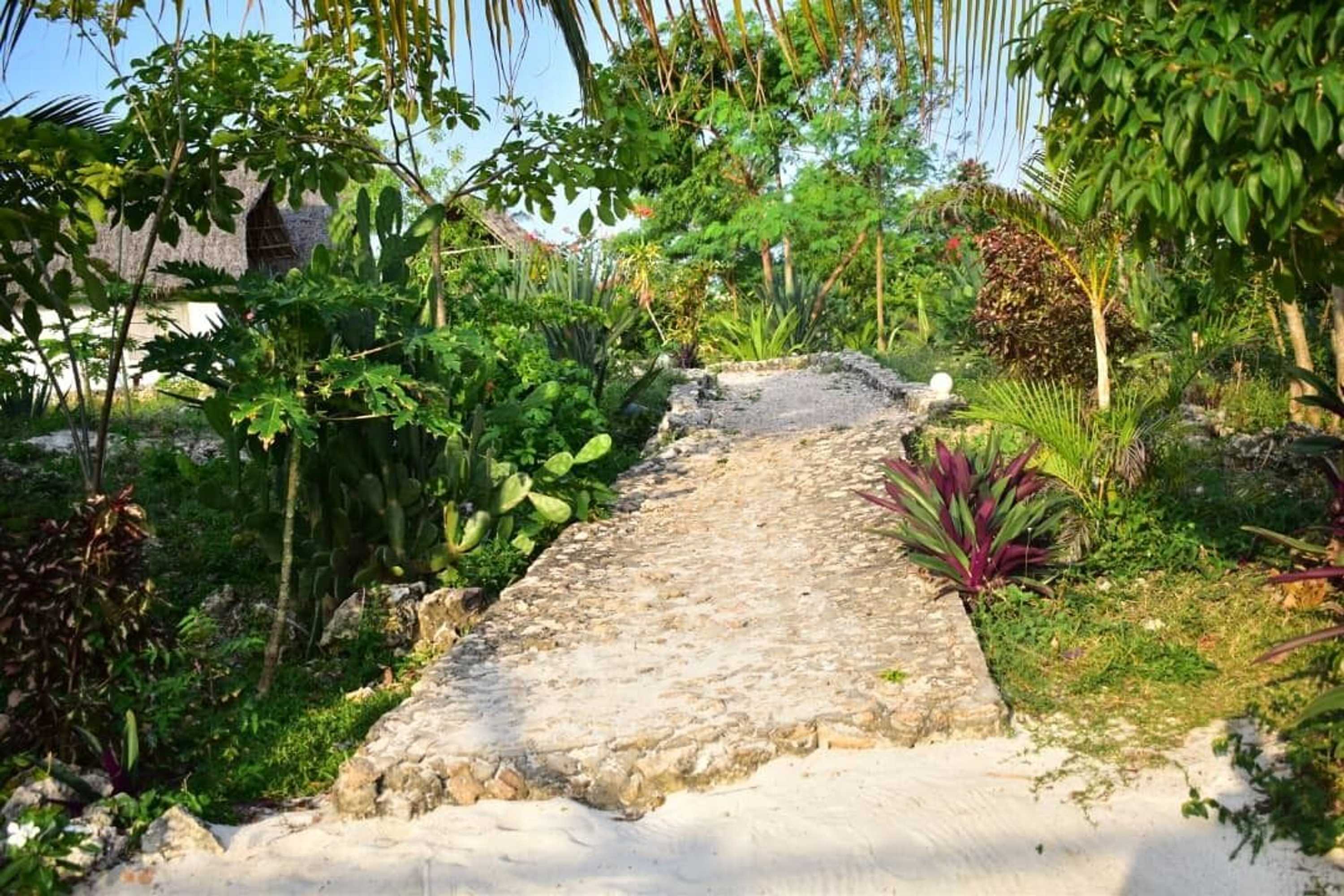 Gift card for Kusini Beach Bungalows Gift card for Kusini Beach Bungalows