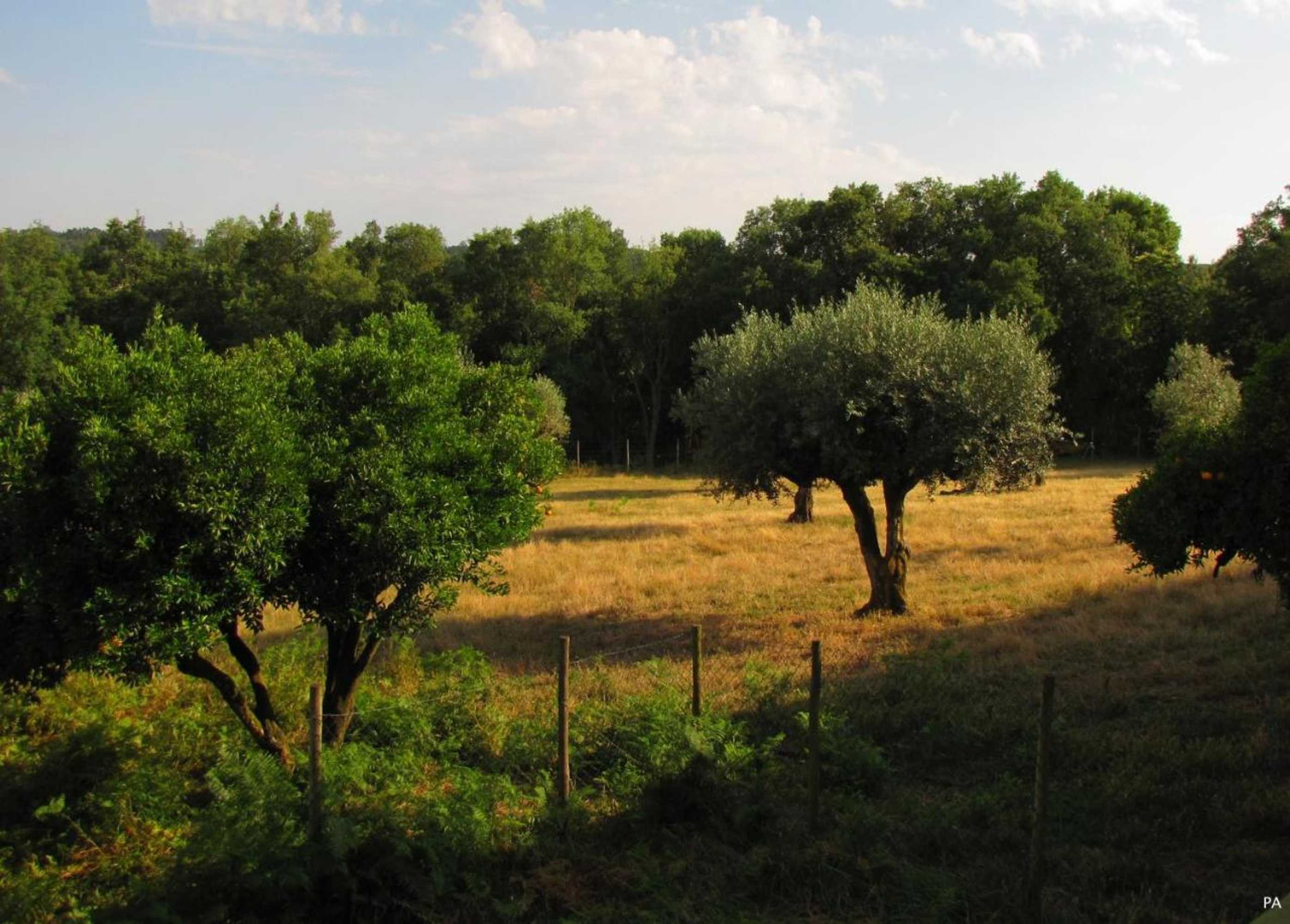 Gift card for Quinta do Cerquito