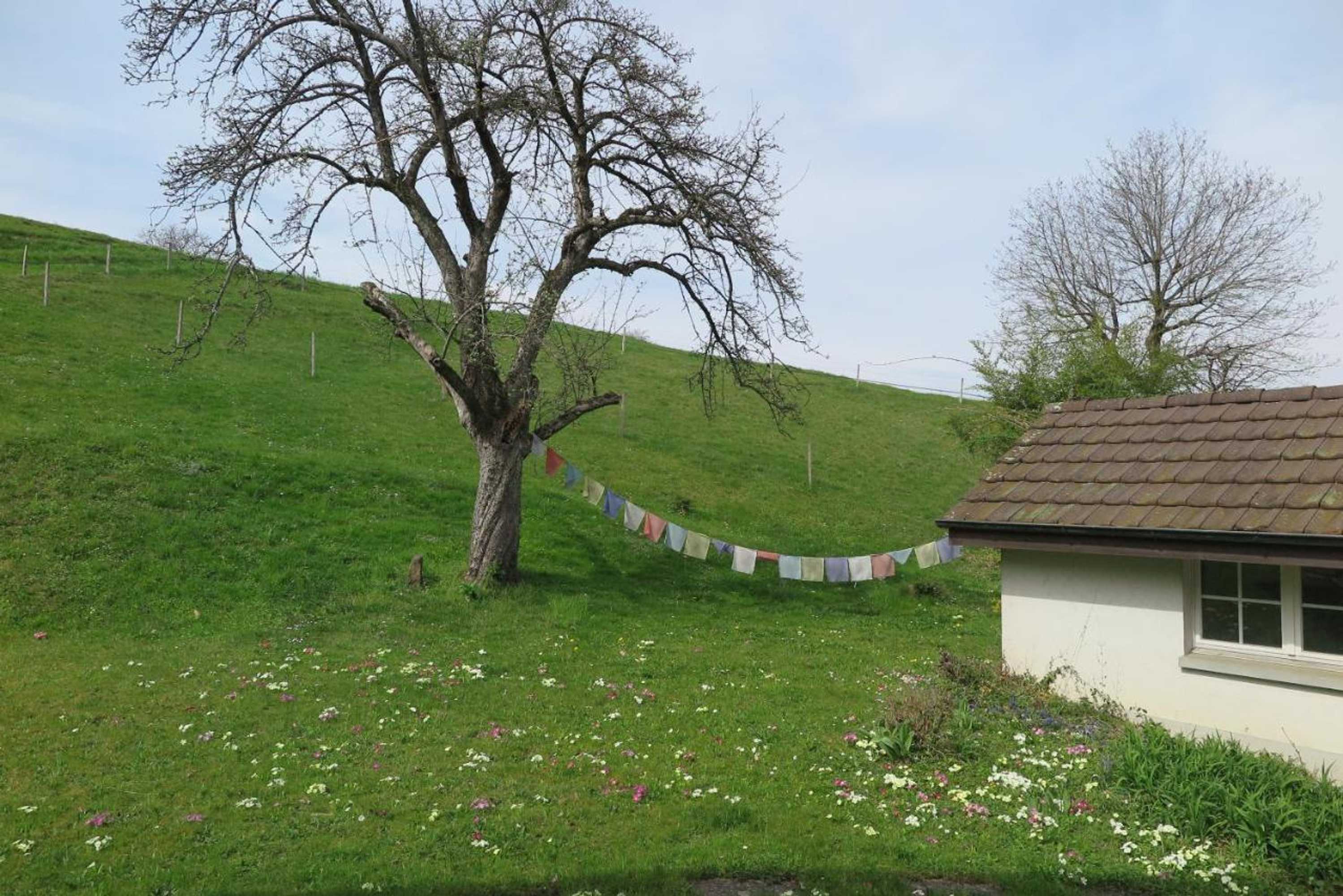 Gift card for B&b Sigrid Braun-Budde