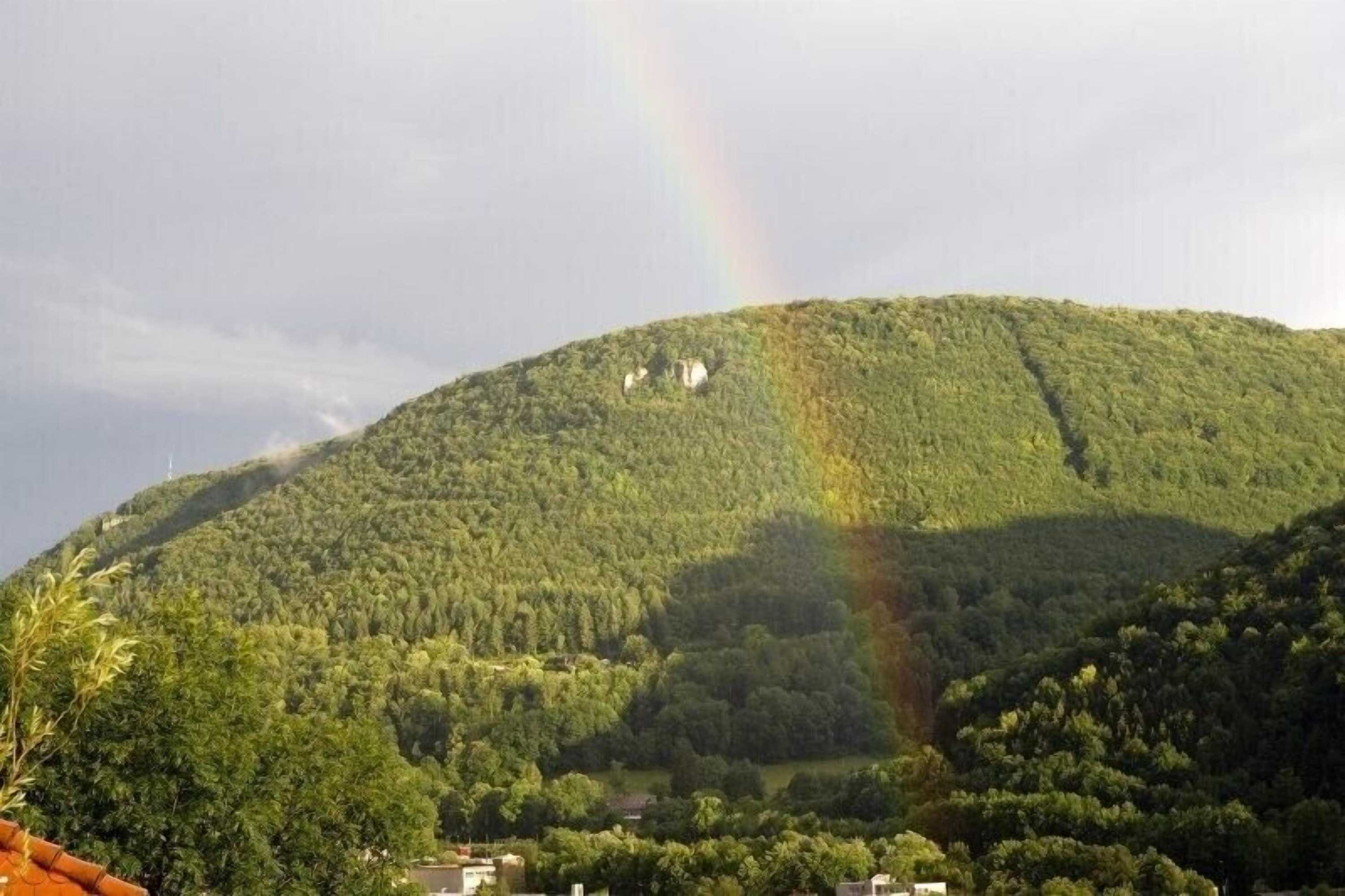 Gift card for Hotel Buck