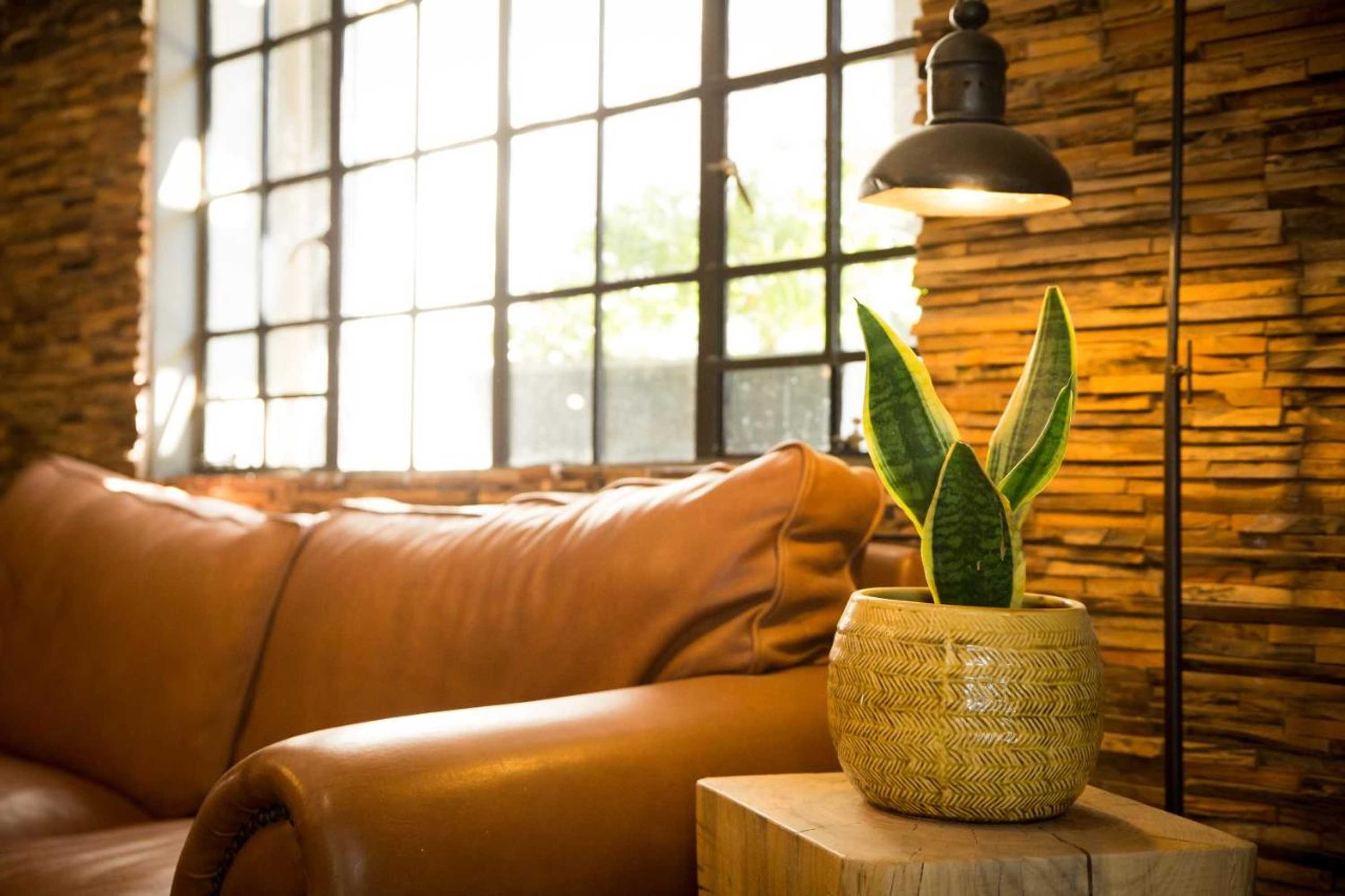 Gift card for Olive Grove Guesthouse Gift card for Olive Grove Guesthouse