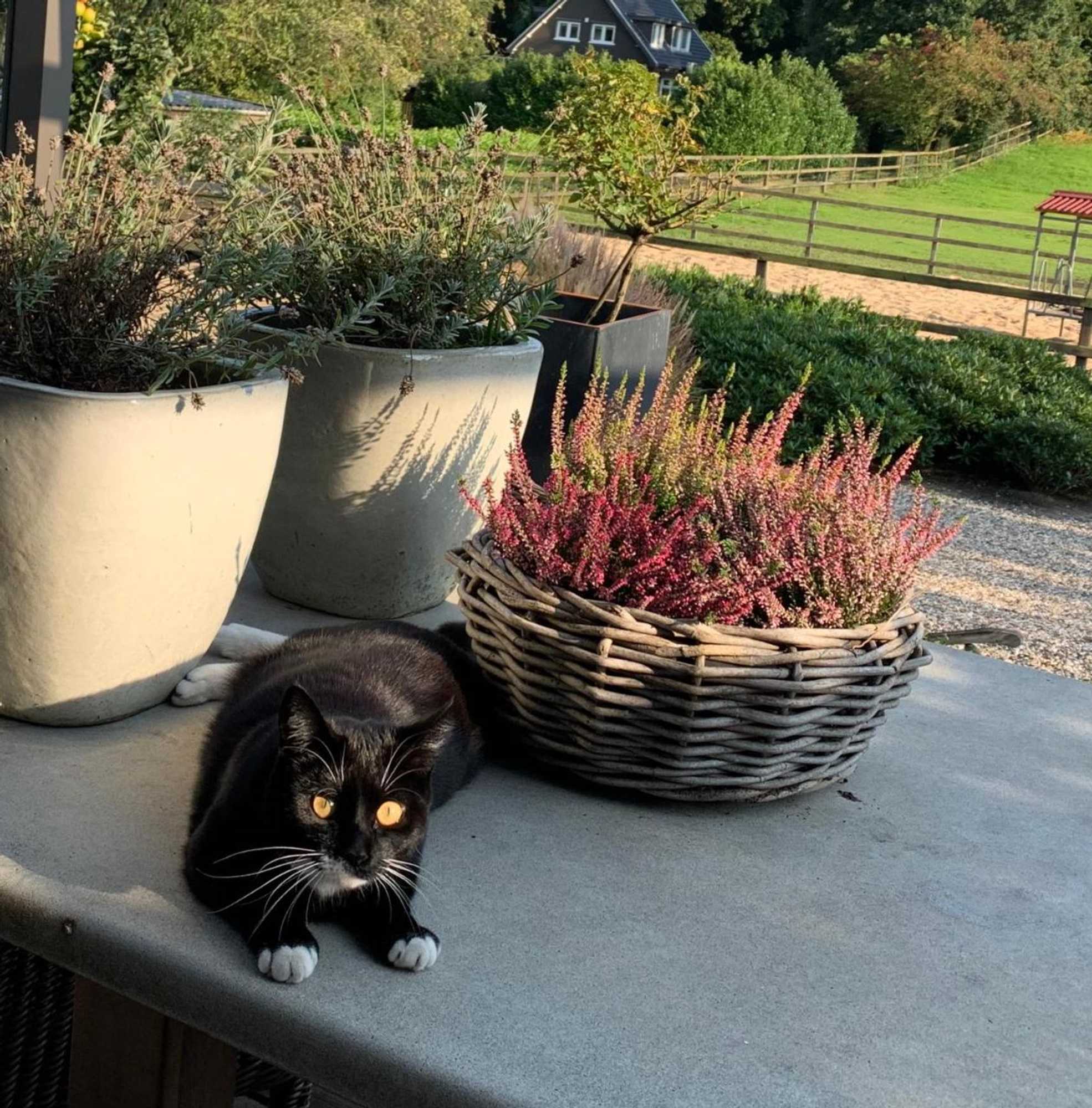 Gift card for Bed And Breakfast De Paalberg