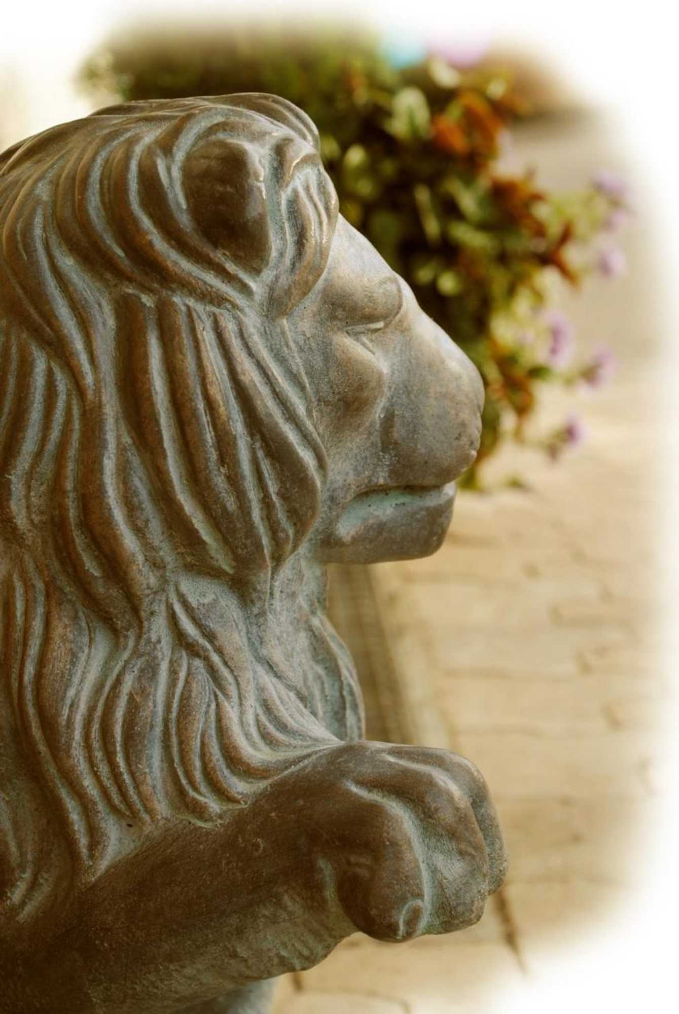 Gift card for Gasthof-Hotel-Löwen