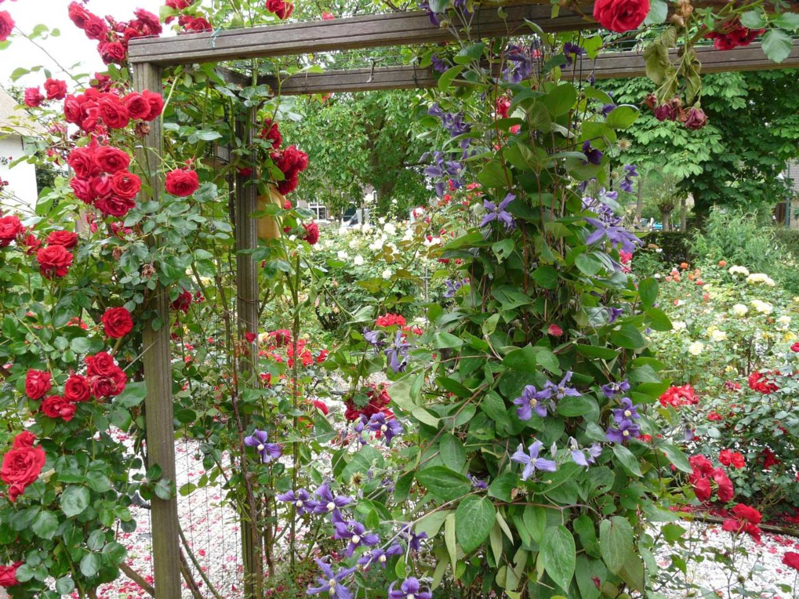 Gift card for De Boomgaard Groene Hart