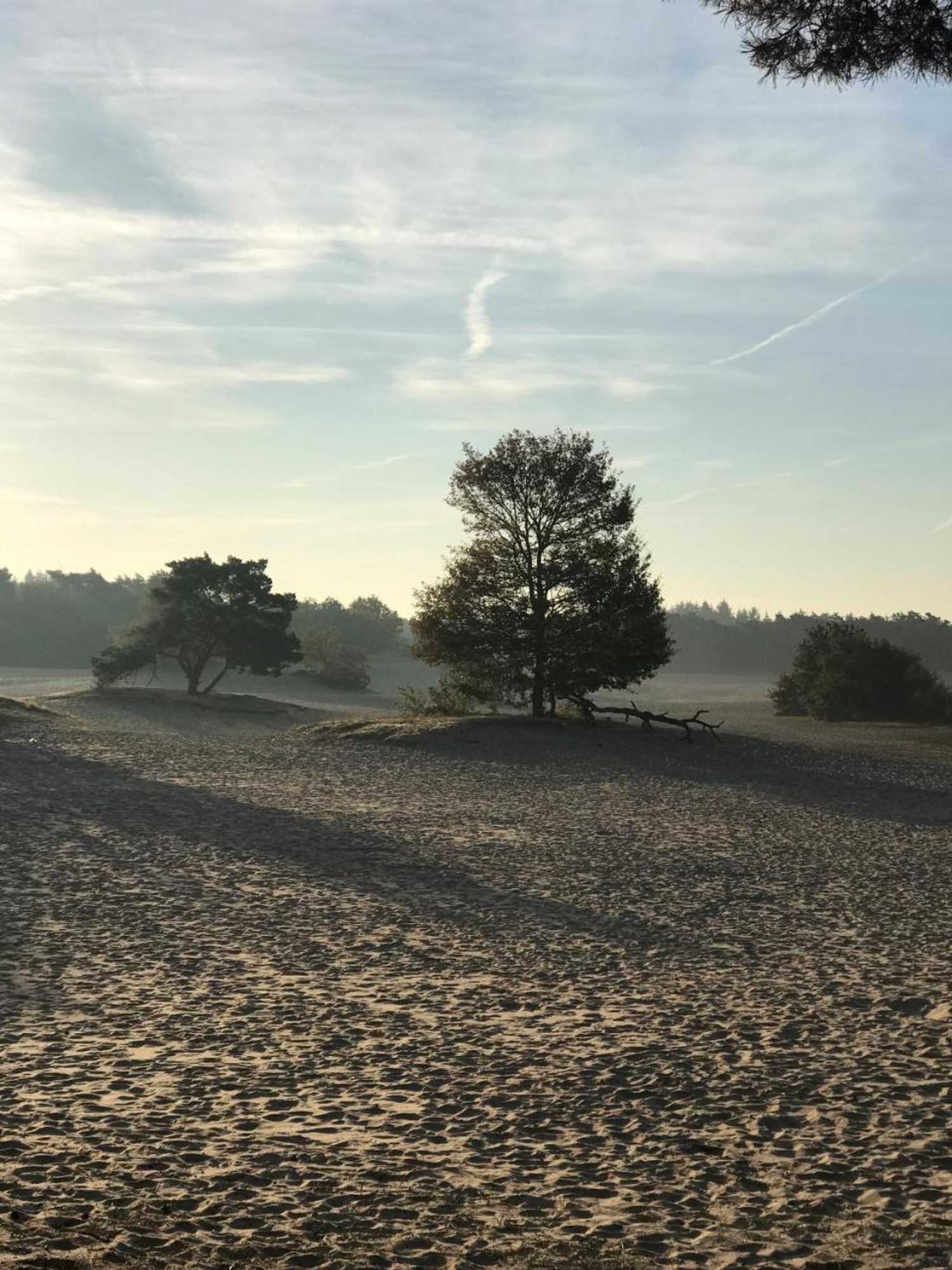 Gift card for Duynparc Soest