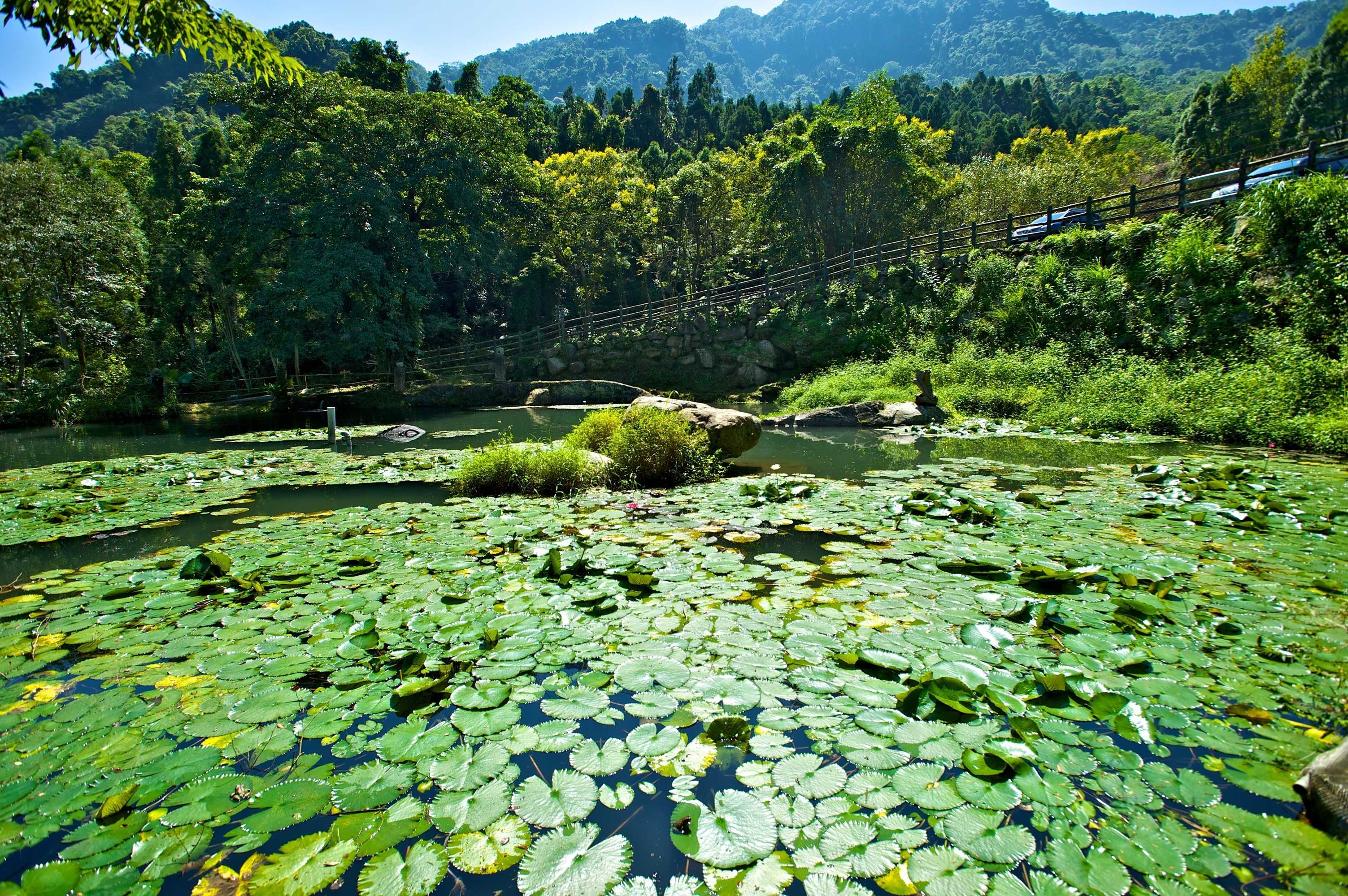 Gift card for Hsinchu Bali Forest Hot Spring Resort Gift card for Hsinchu Bali Forest Hot Spring Resort