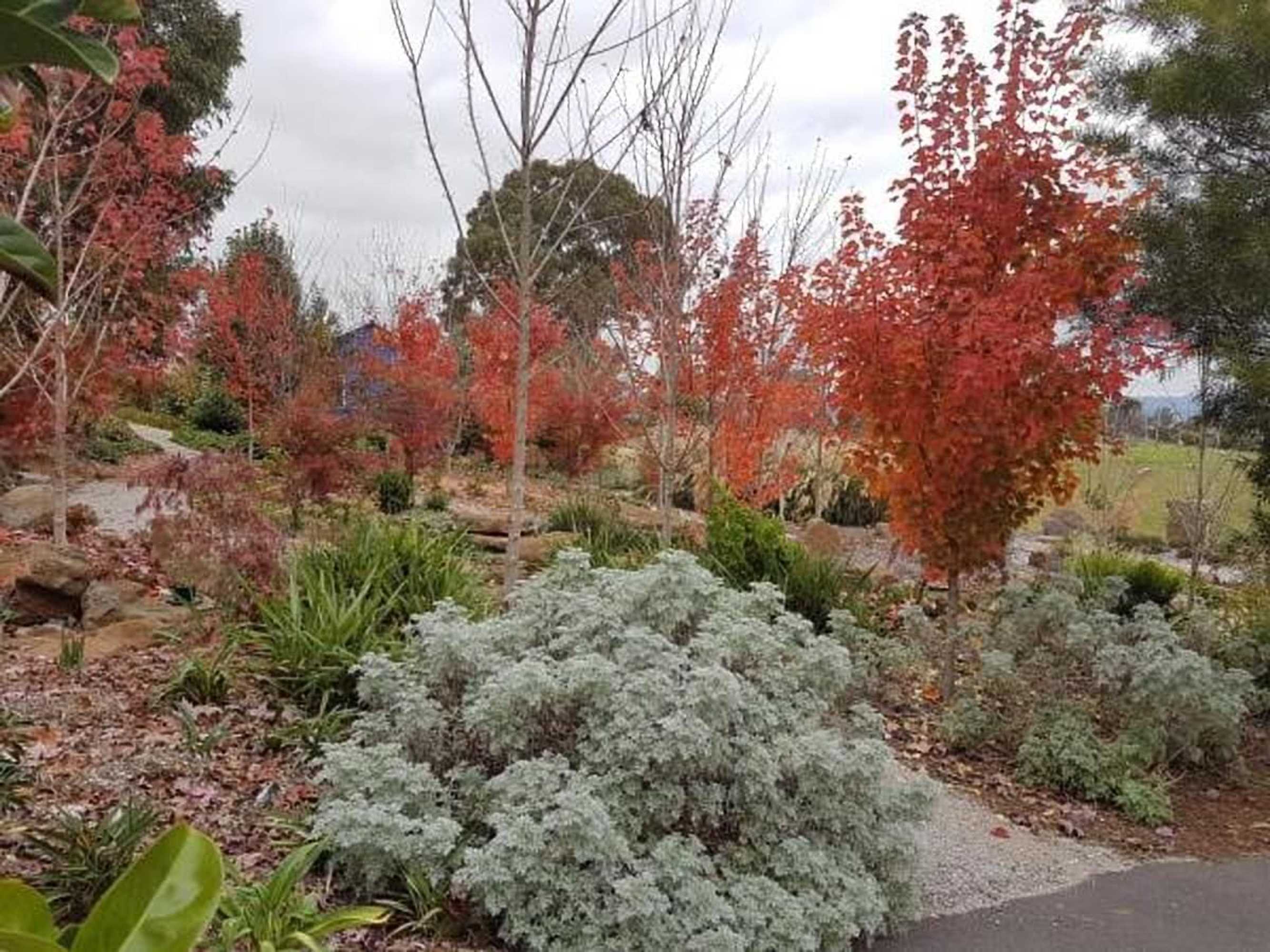 Gift card for Outlook Hill Vineyard Cottages