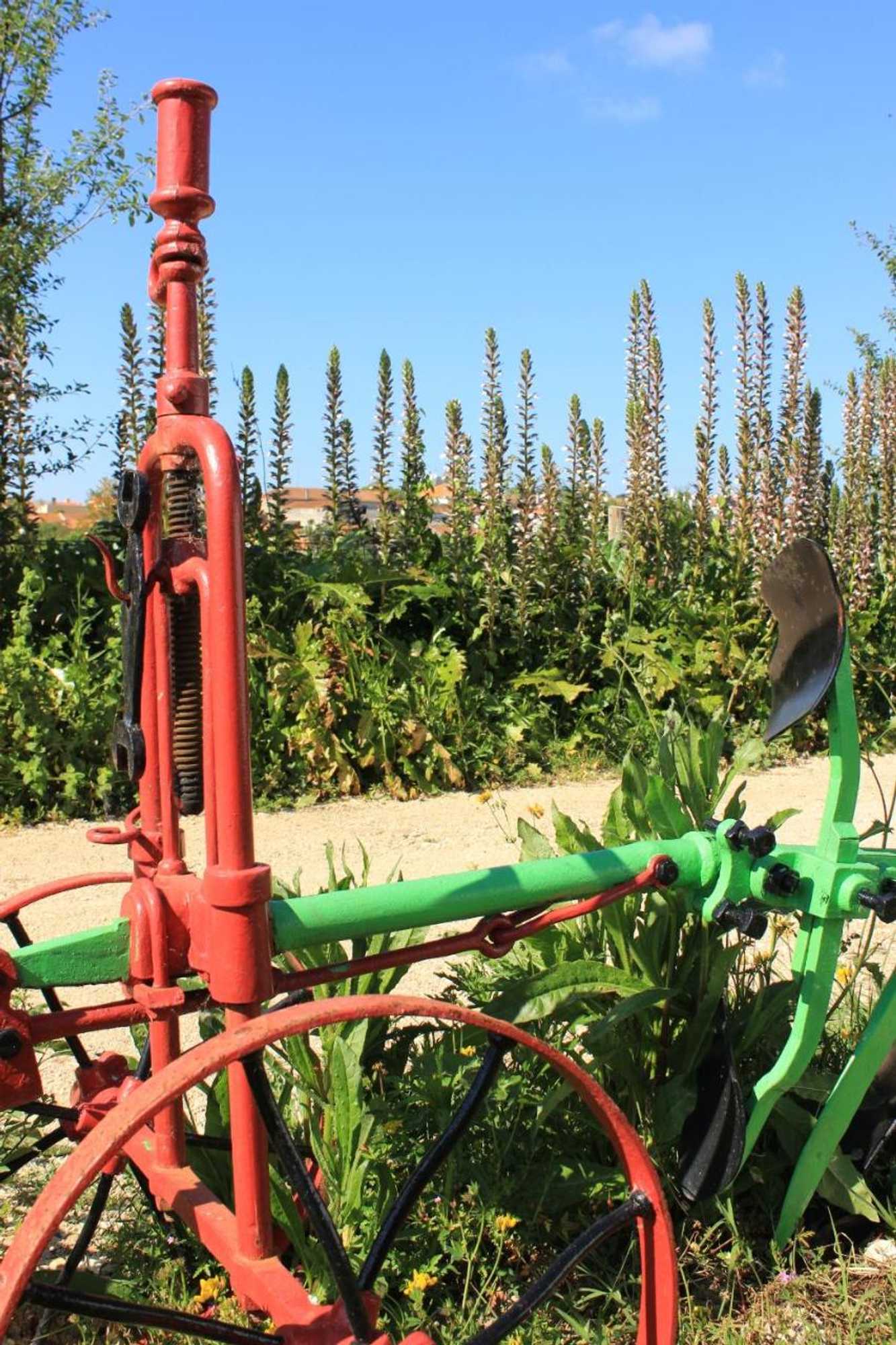 Gift card for Solar do Alambique