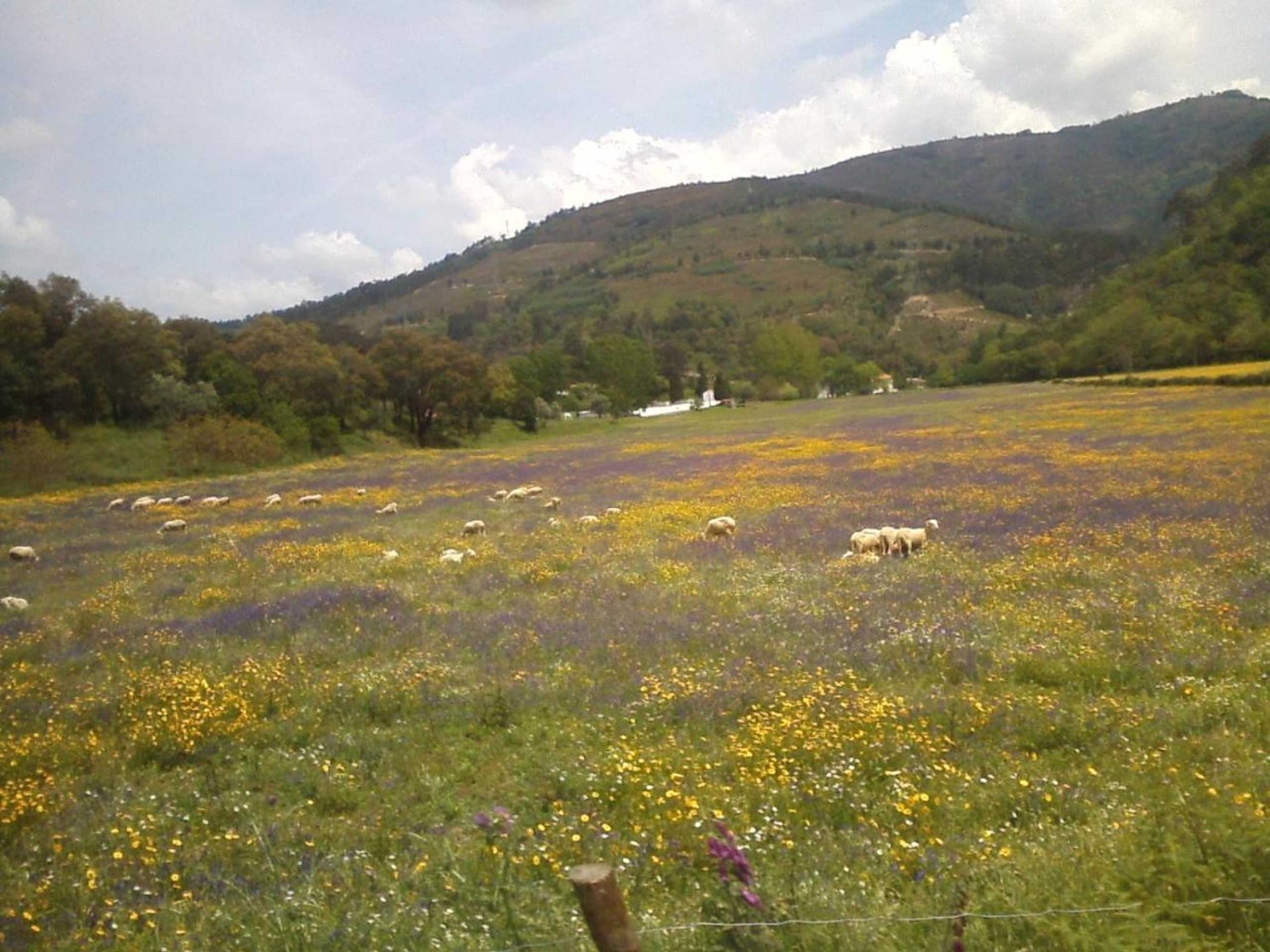 Gift card for Casa de Xisto