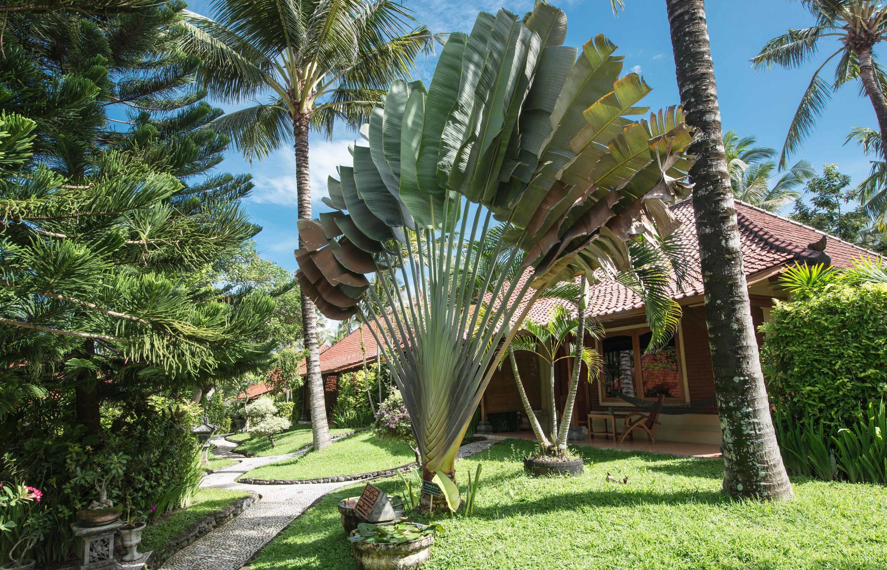 Gift card for Puri Dajuma Beach Eco-Resort & Spa Gift card for Puri Dajuma Beach Eco-Resort & Spa