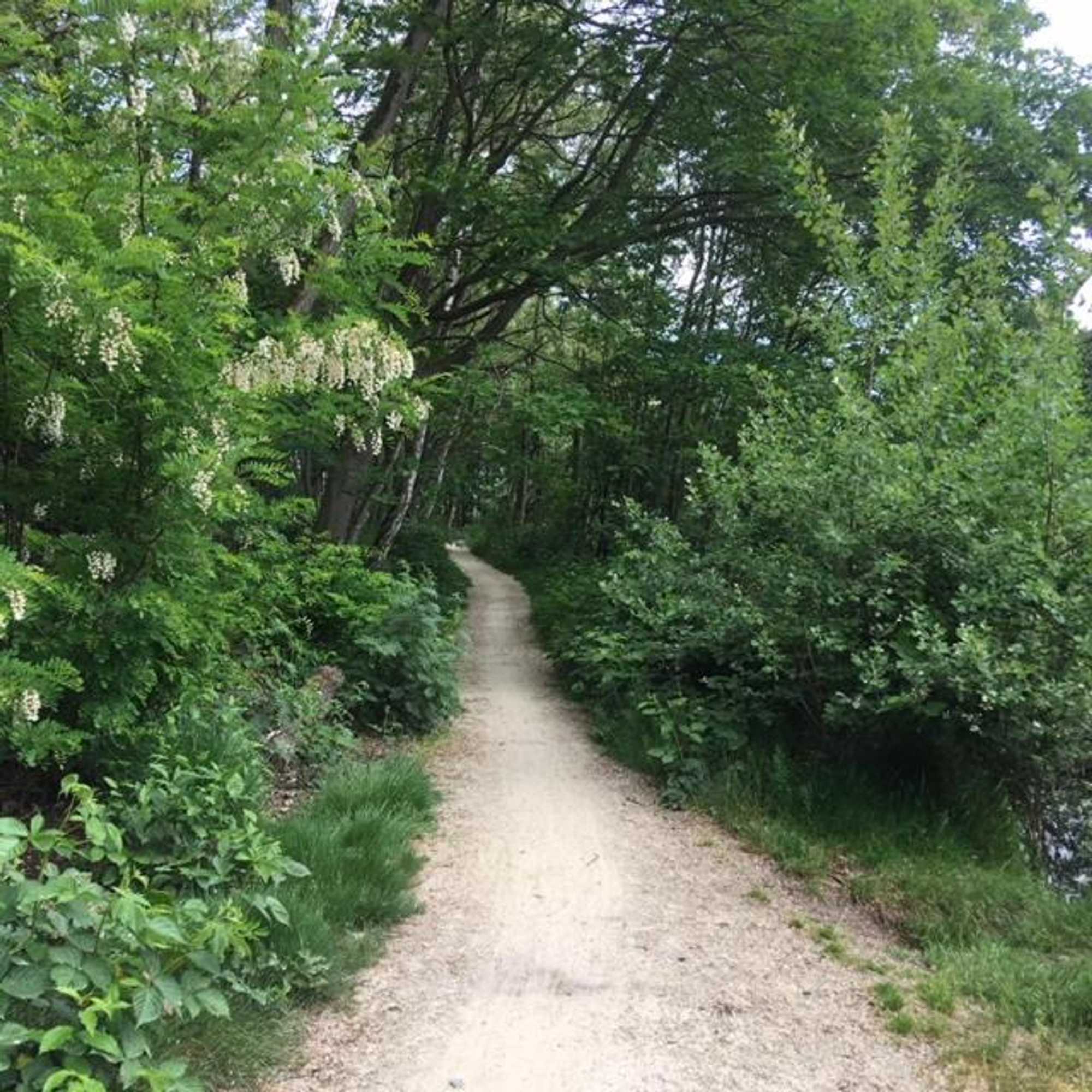 Gift card for Auxiliumwellness Get Back to Serenity