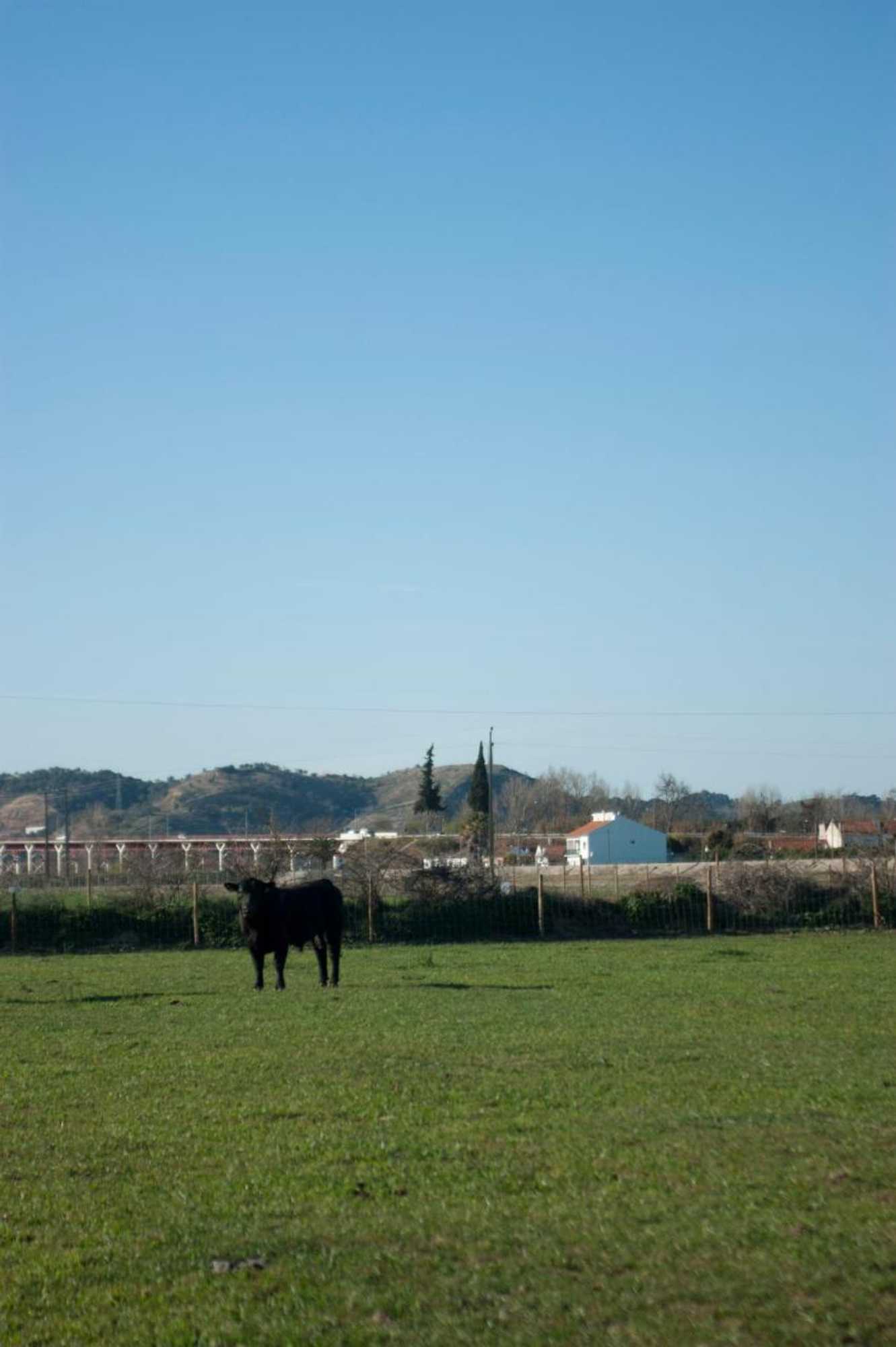 Gift card for Quinta da Gafaria