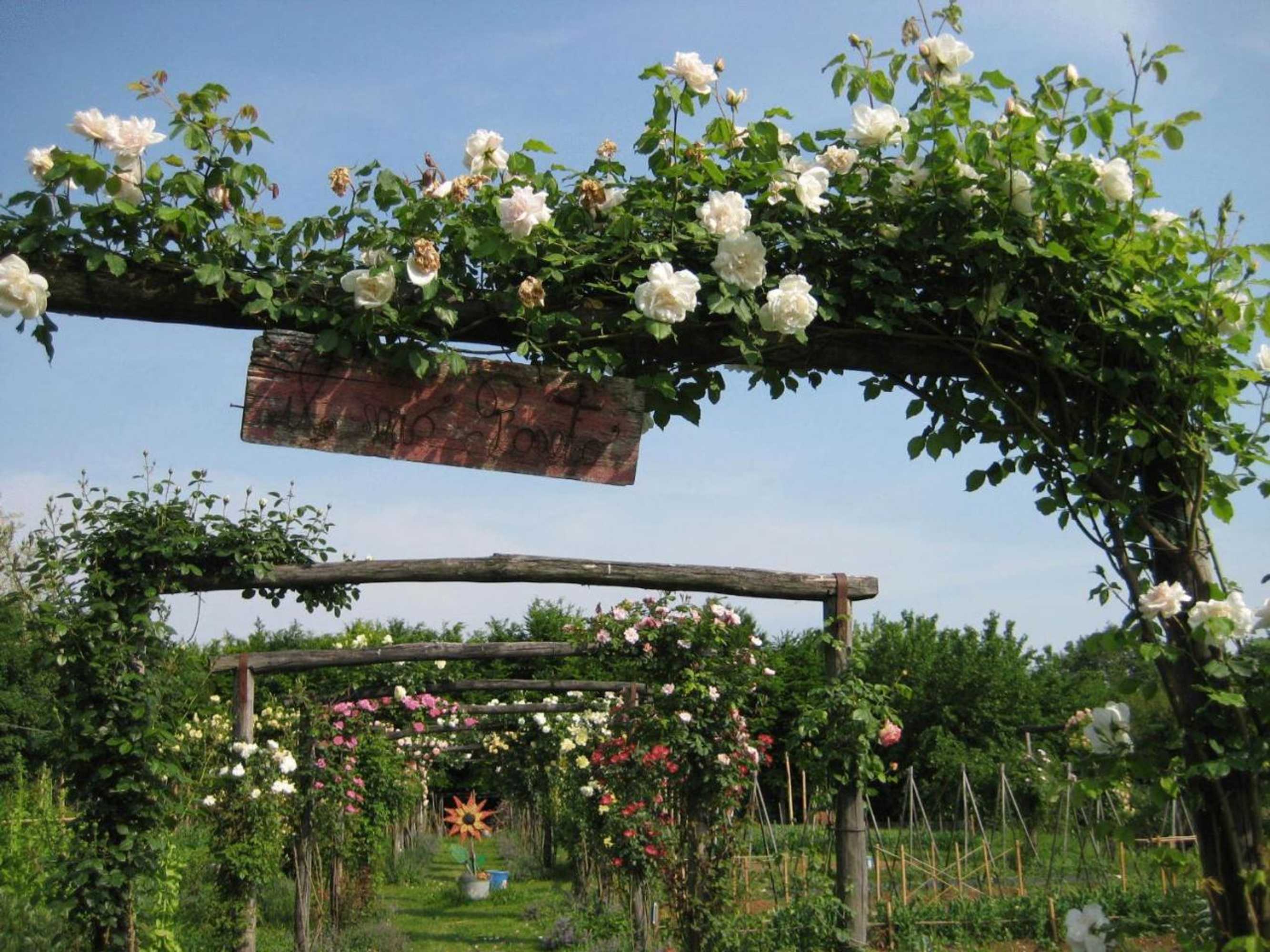 Gift card for Maso Di Villa Relais e Cantina