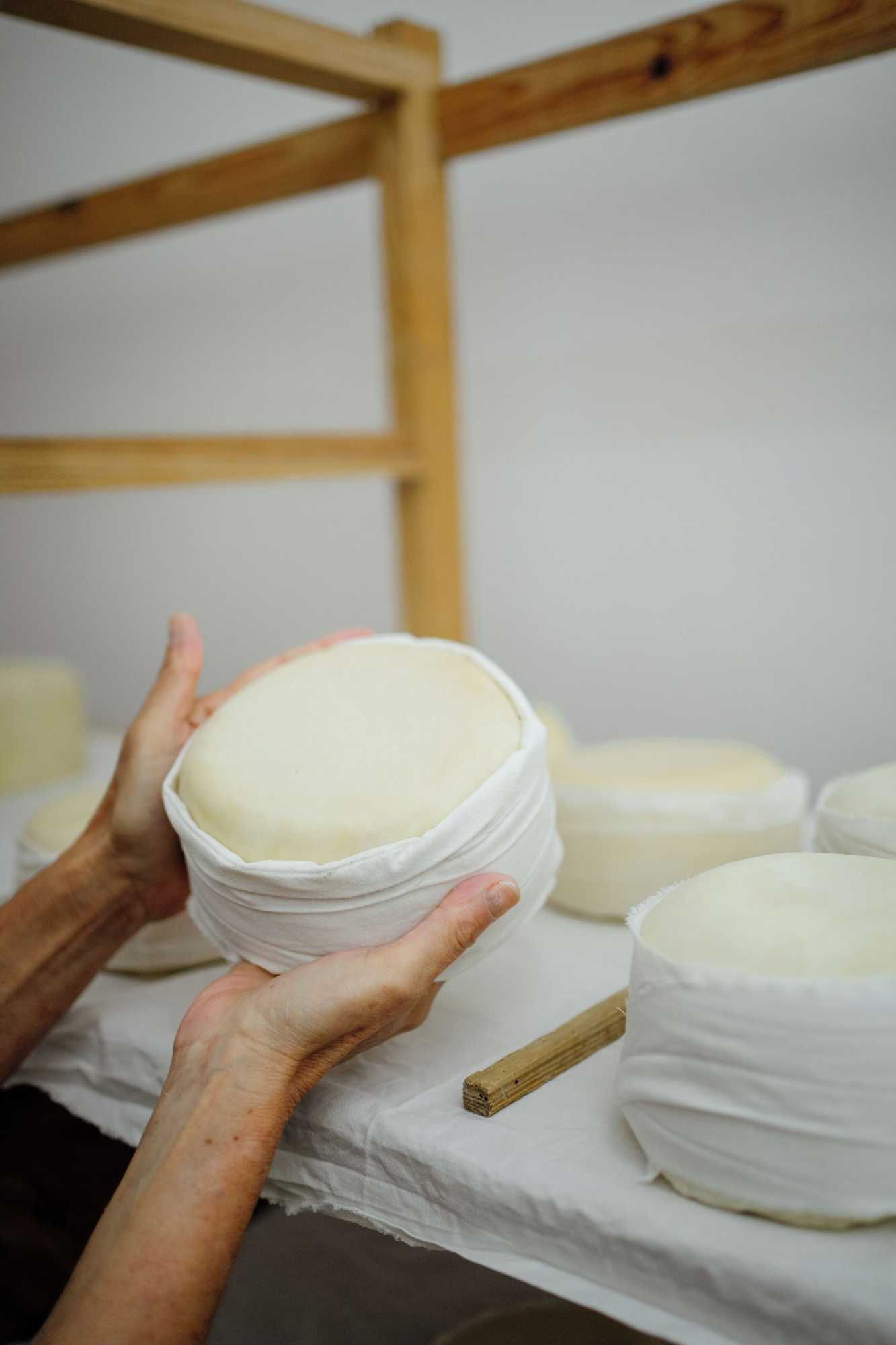 Gift card for Vumba - House of The Lizard