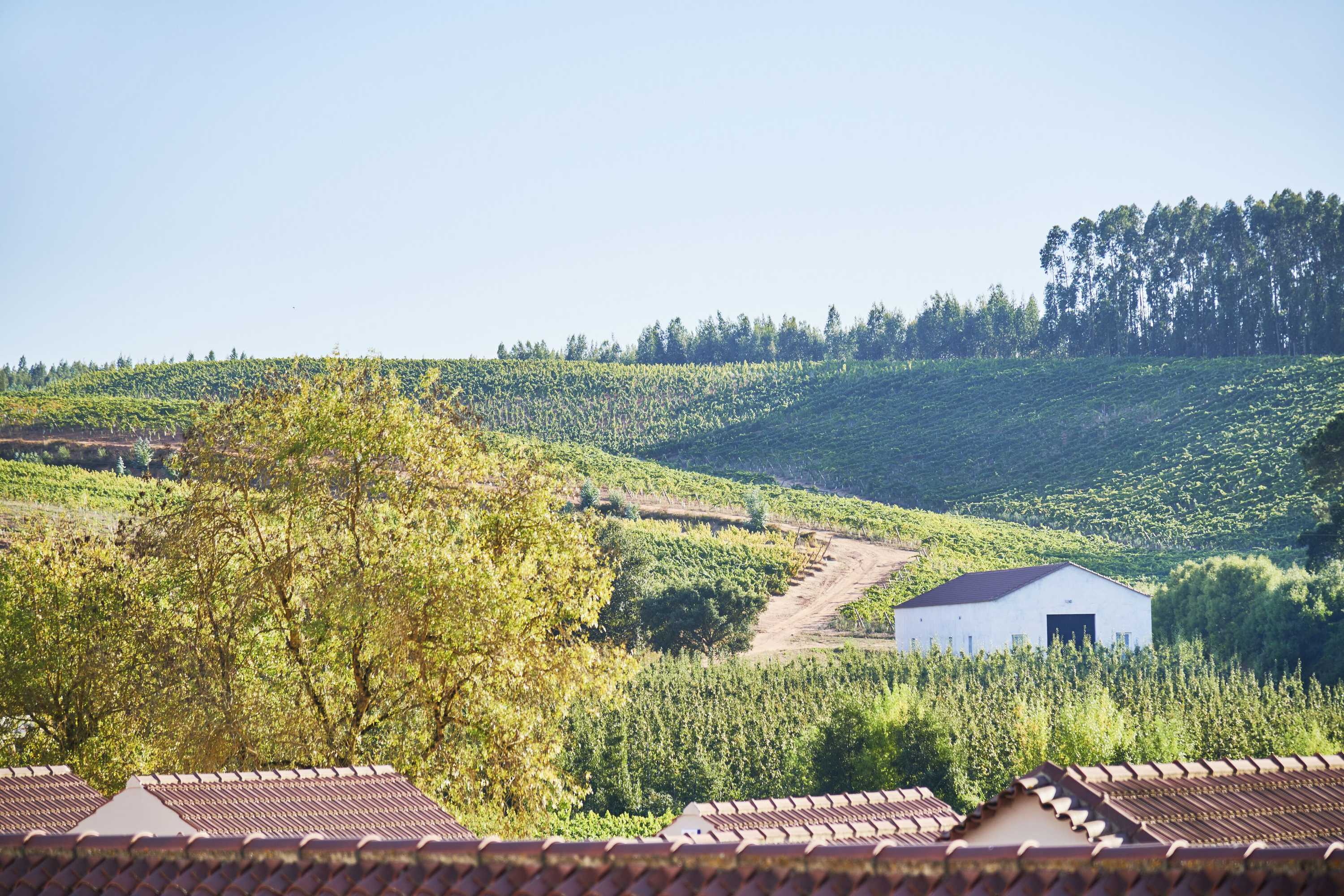Gift card for Quinta do Porto Nogueira Gift card for Quinta do Porto Nogueira