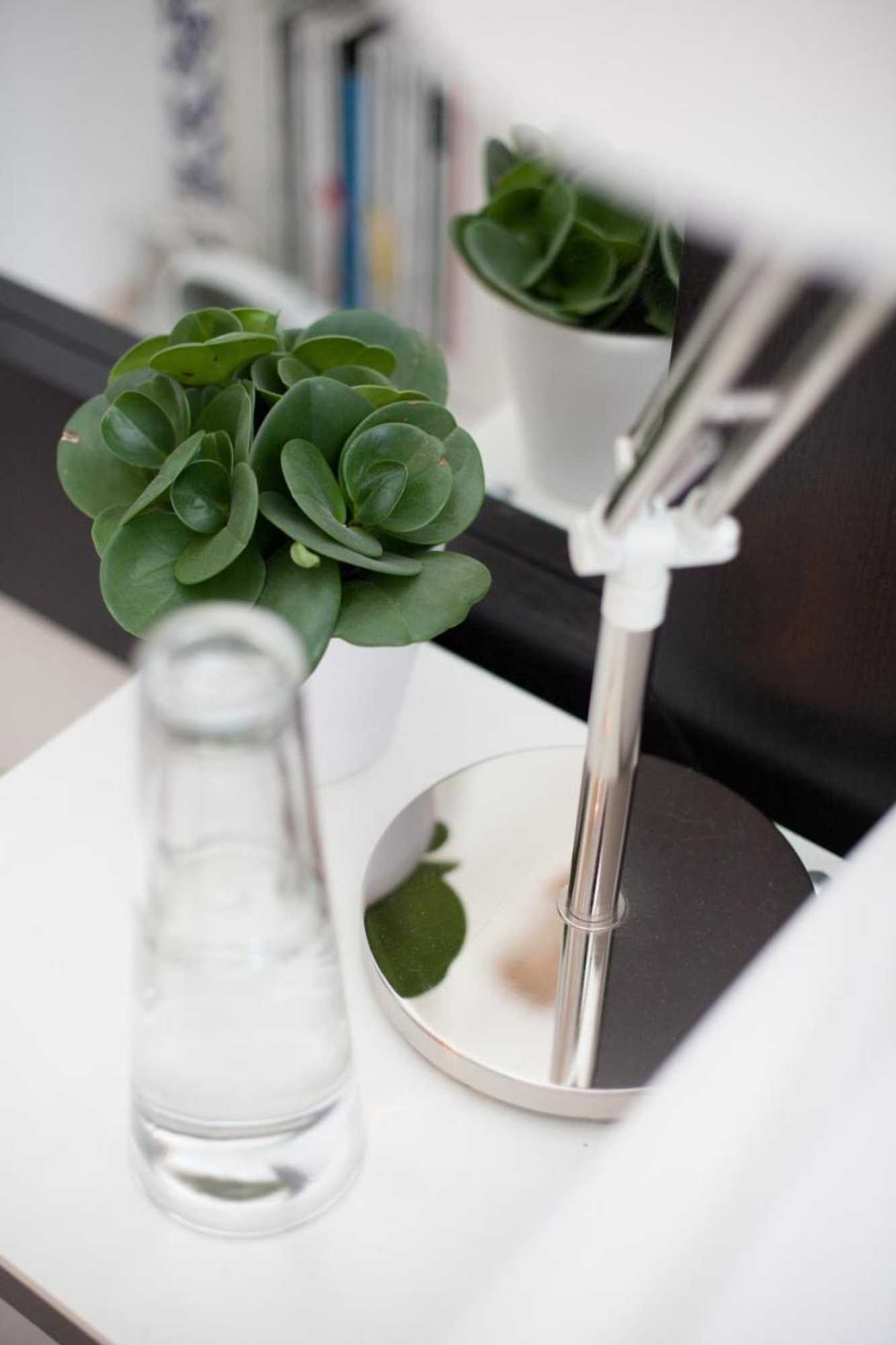 Gift card for Darley's