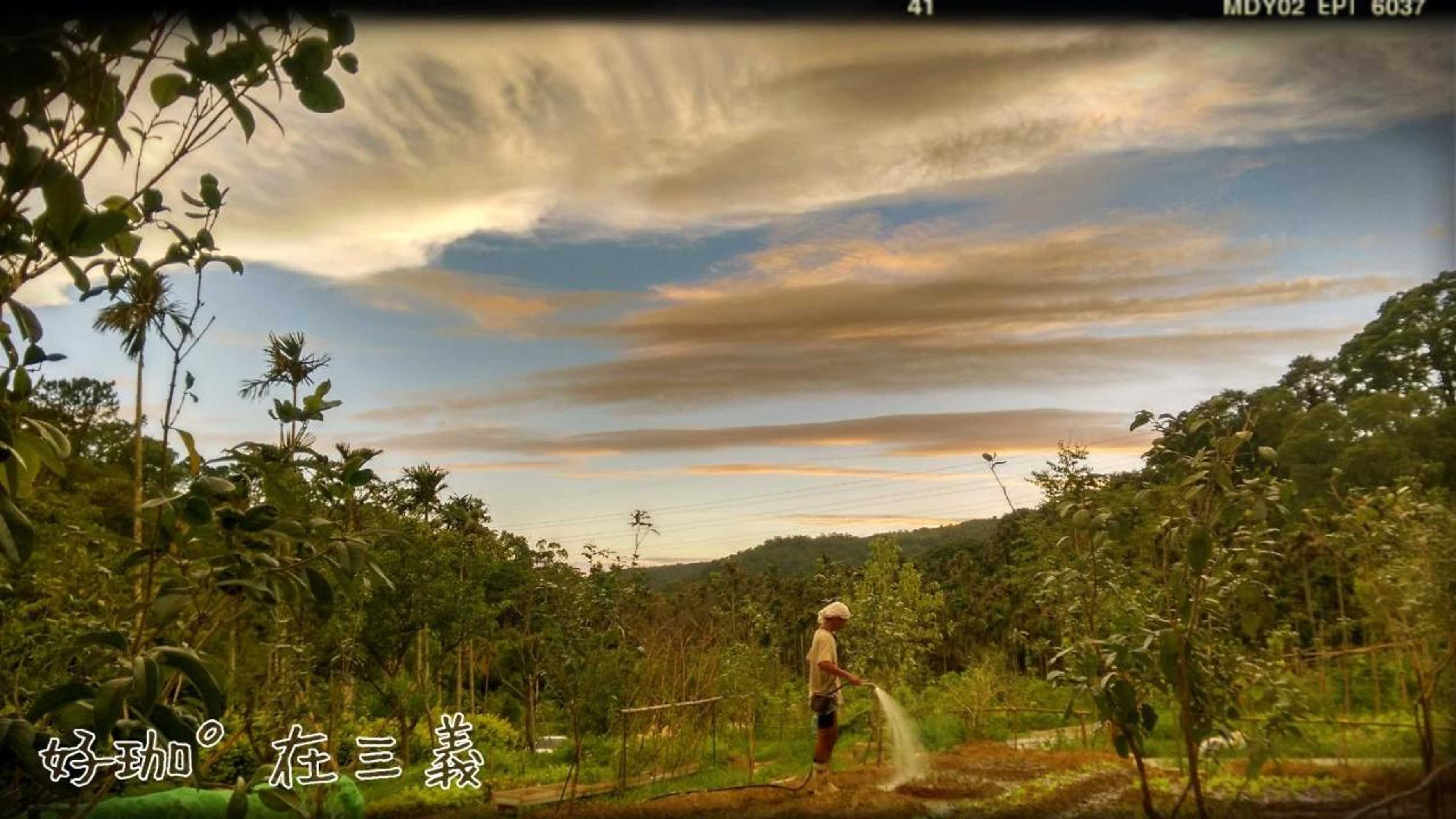 Gift card for Hoka in Sanyi