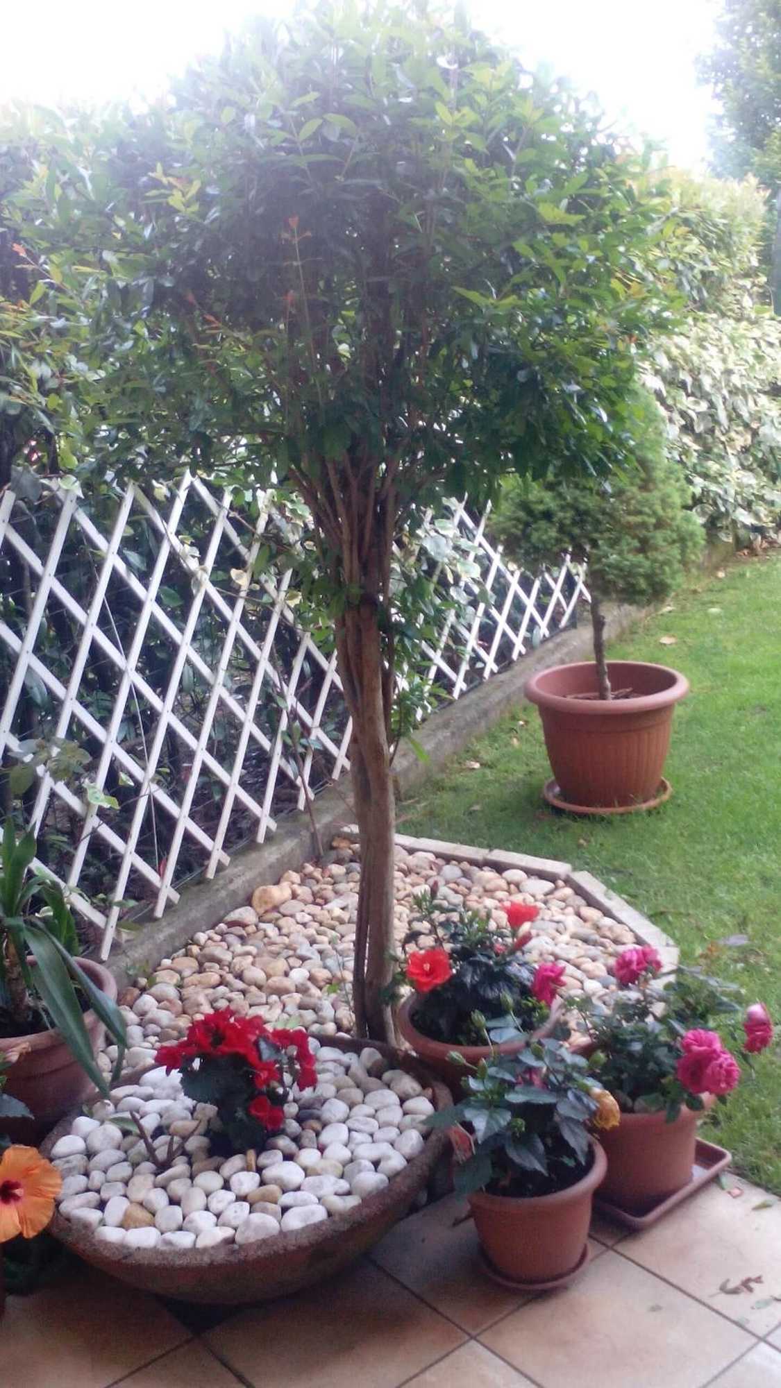 Gift card for B&b La Delice