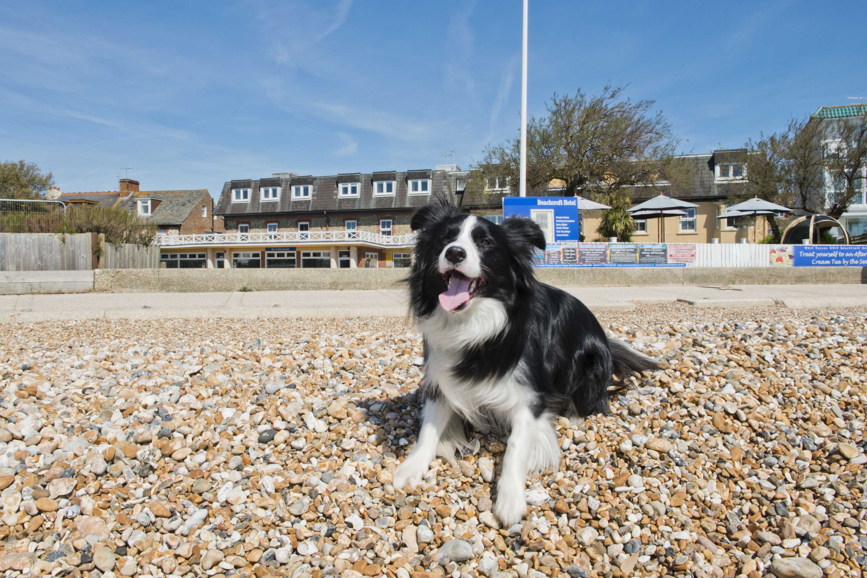 Gift card for Beachcroft Hotel, BW Signature Collection