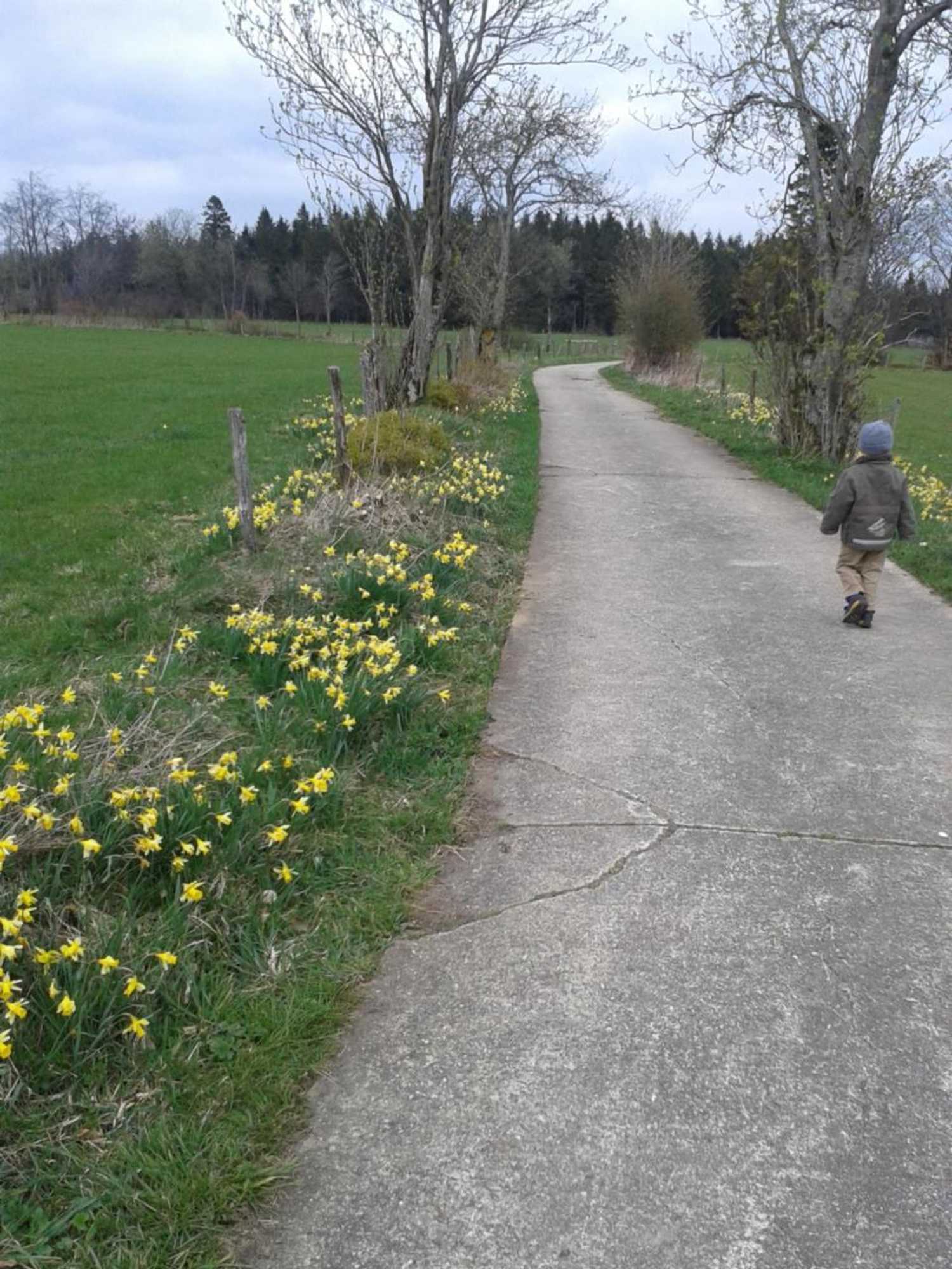 Gift card for Ferienwohnung Peters