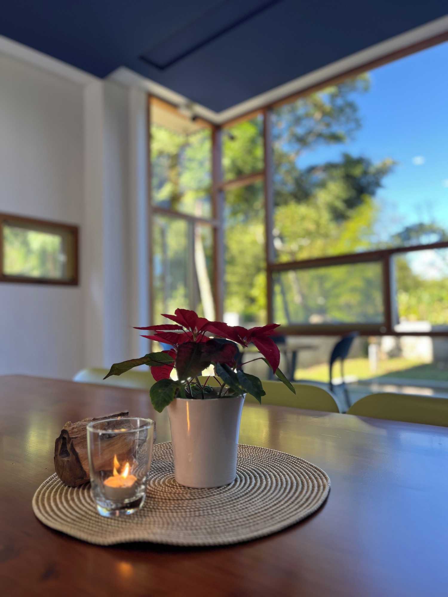 Gift card for Xi Tou in Sunny Day Inn