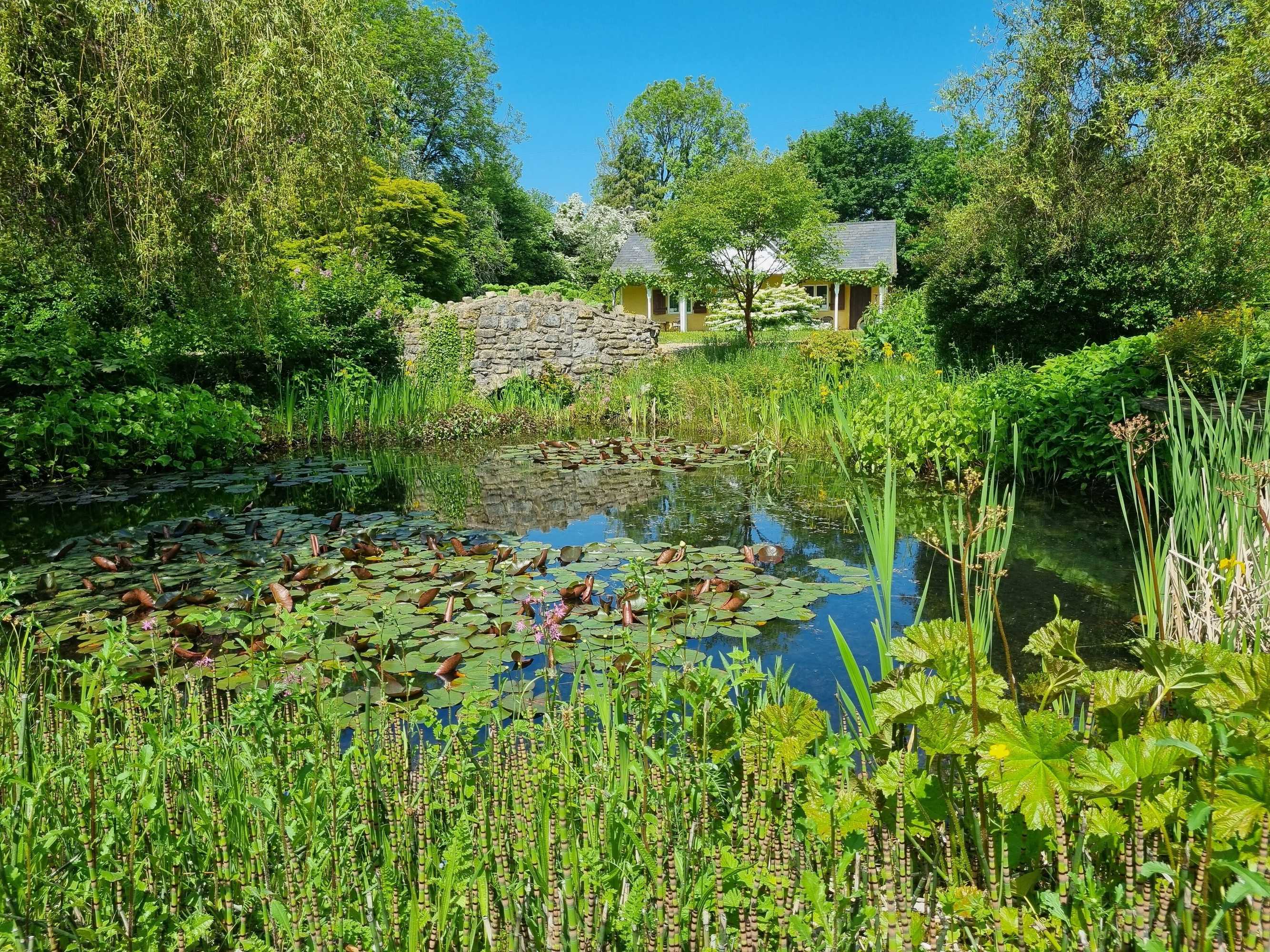 Gift card for Glyndwr Vineyard