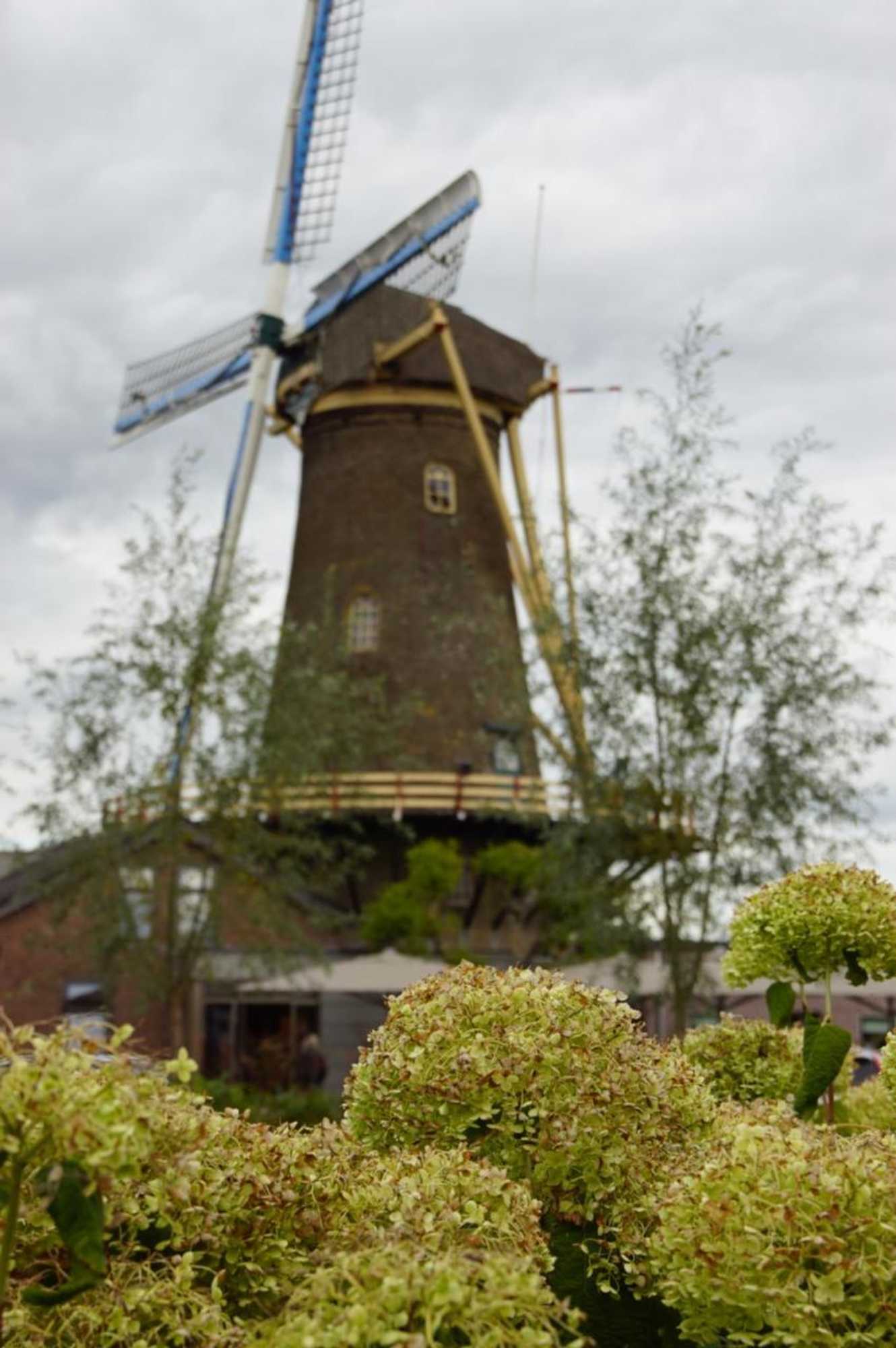 Gift card for Vertoeven Bij Verhoeven