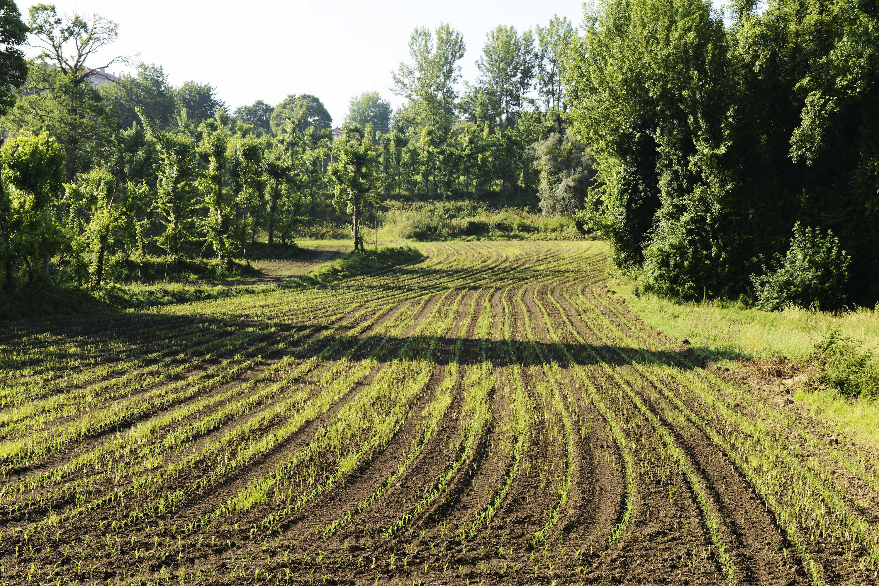 Gift card for Vale de São Torcato Houses And Wine Bar