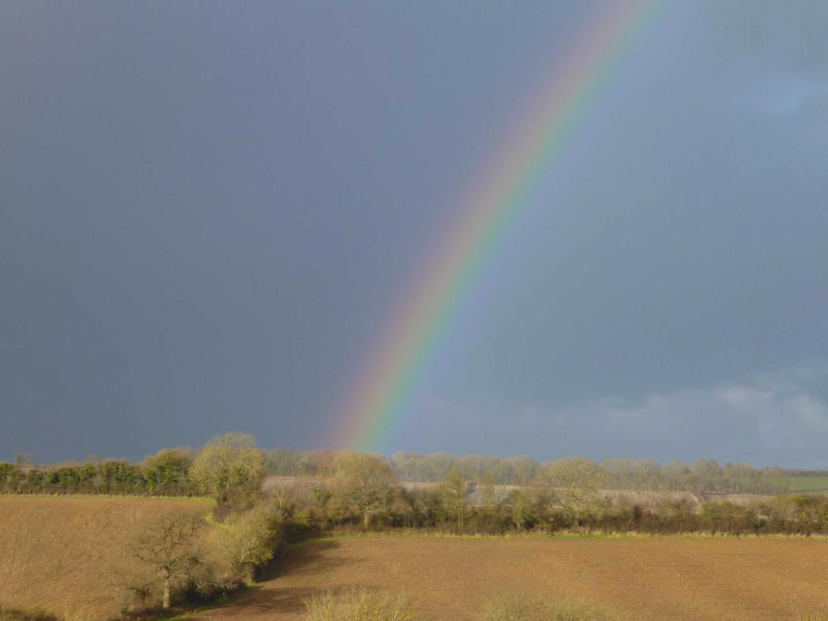 Gift card for Whidlecombe Farm