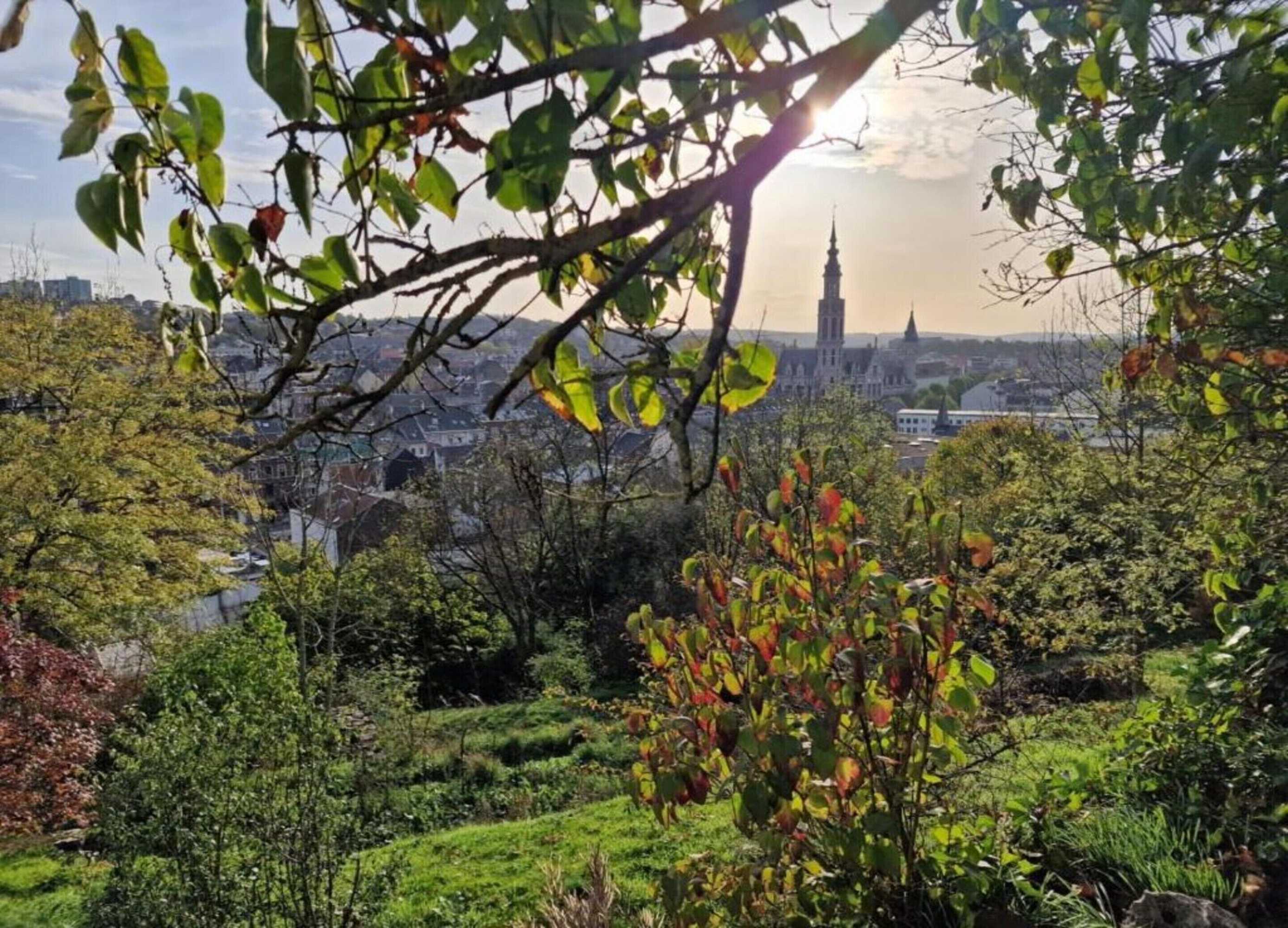 Gift card for Rosselaer Villa With Pool