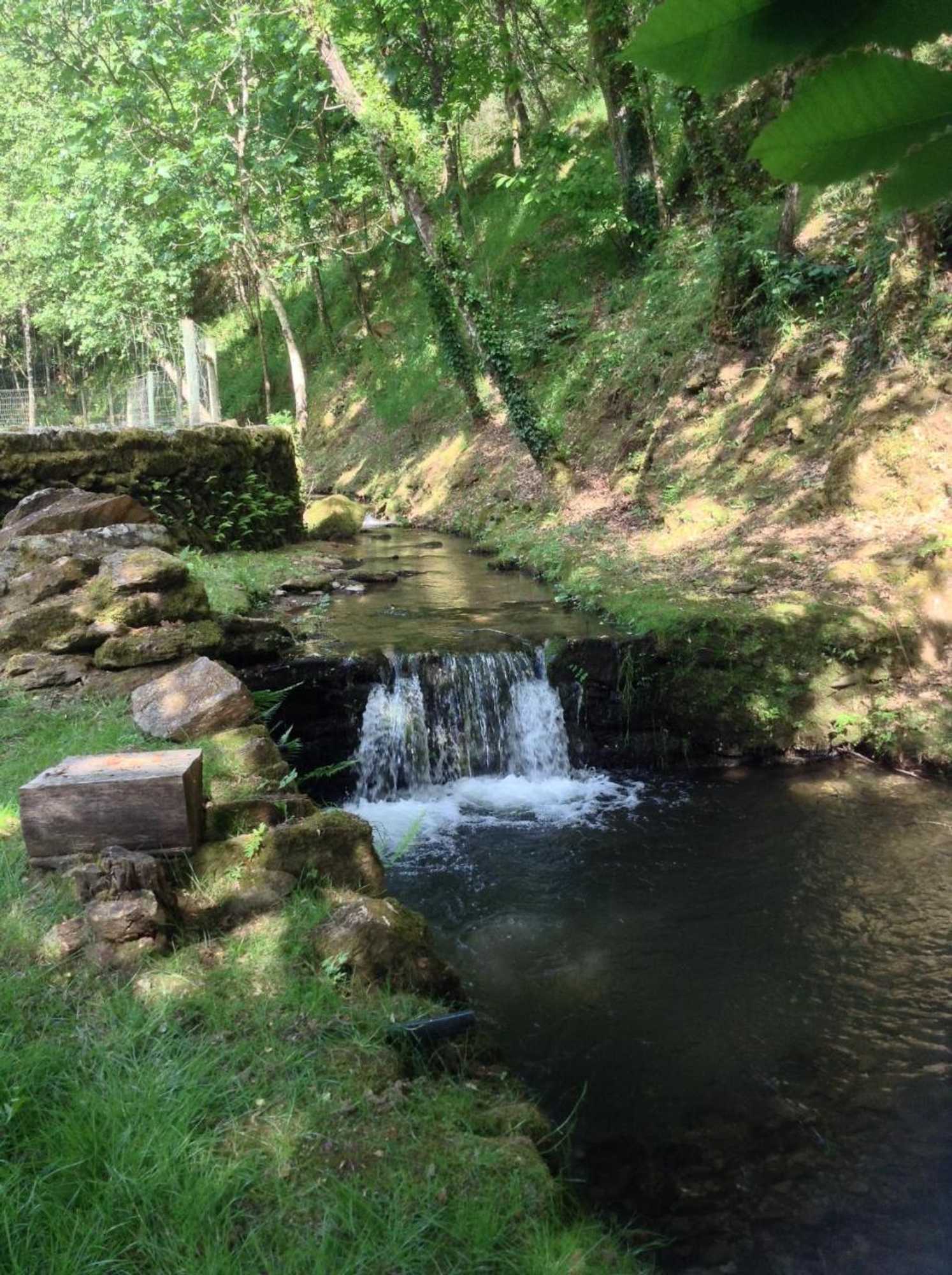 Gift card for Saberamar Little Country