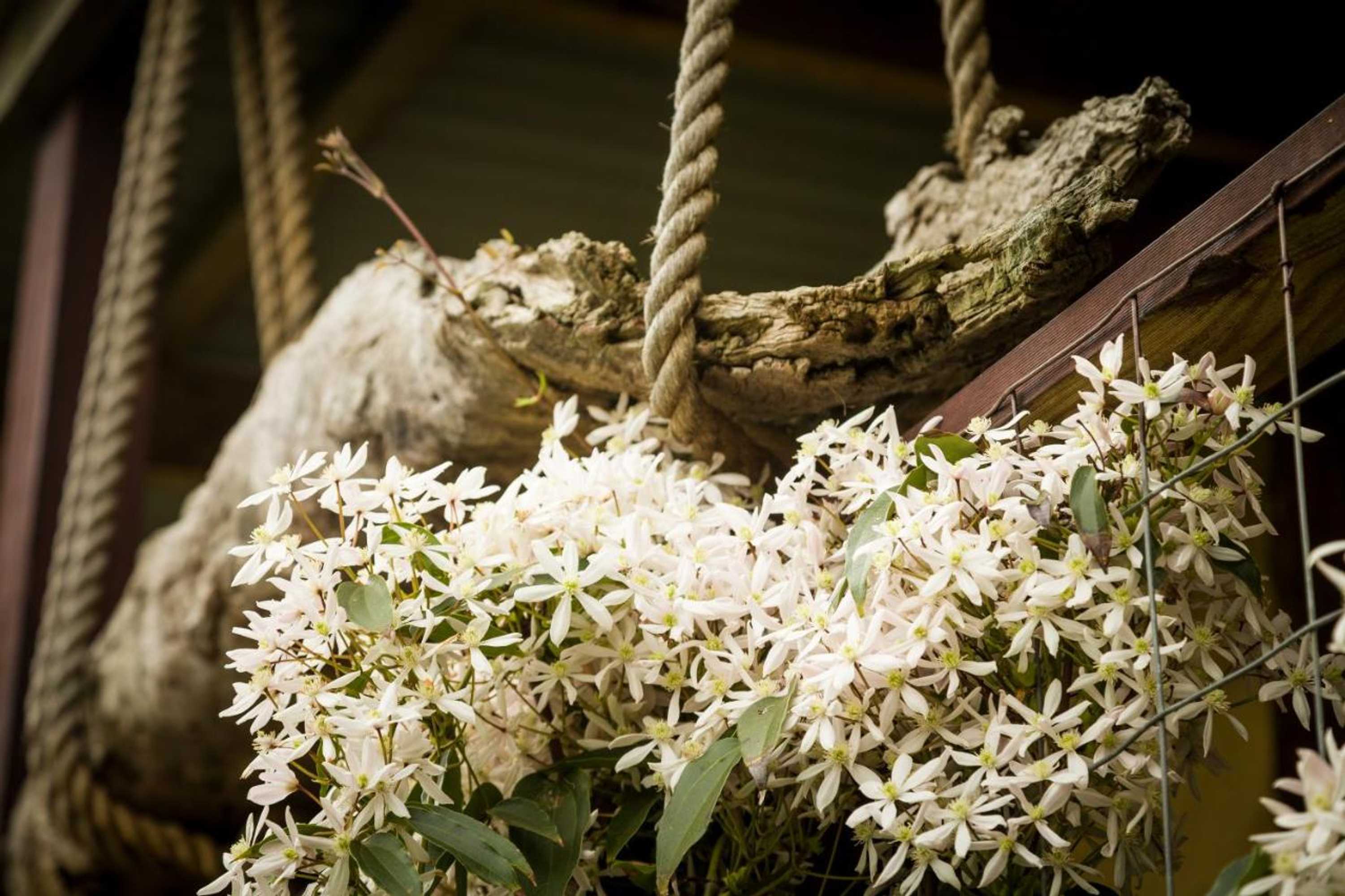 Gift card for The Burrow At Wombat Bend