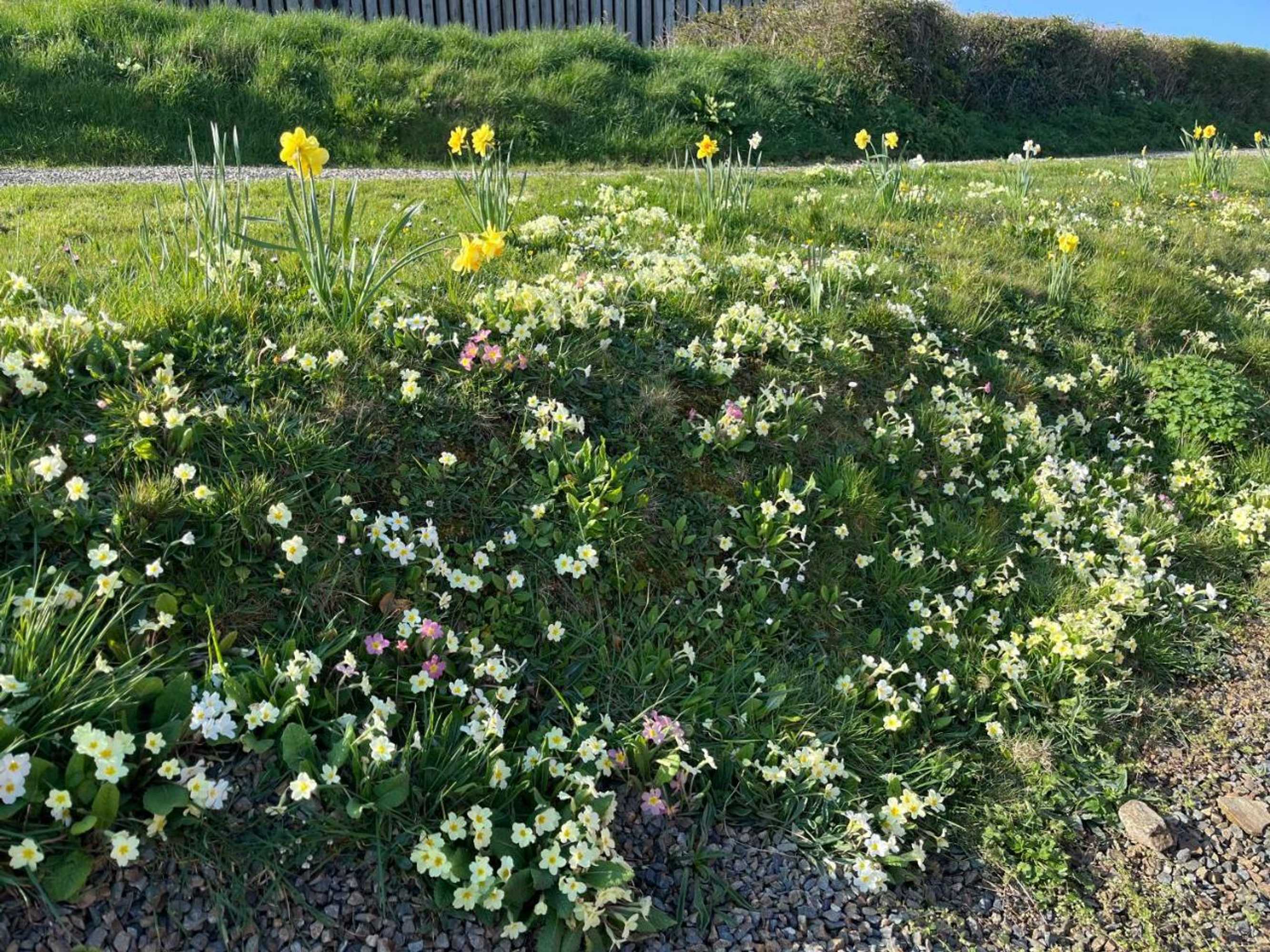 Gift card for Rectory Farm