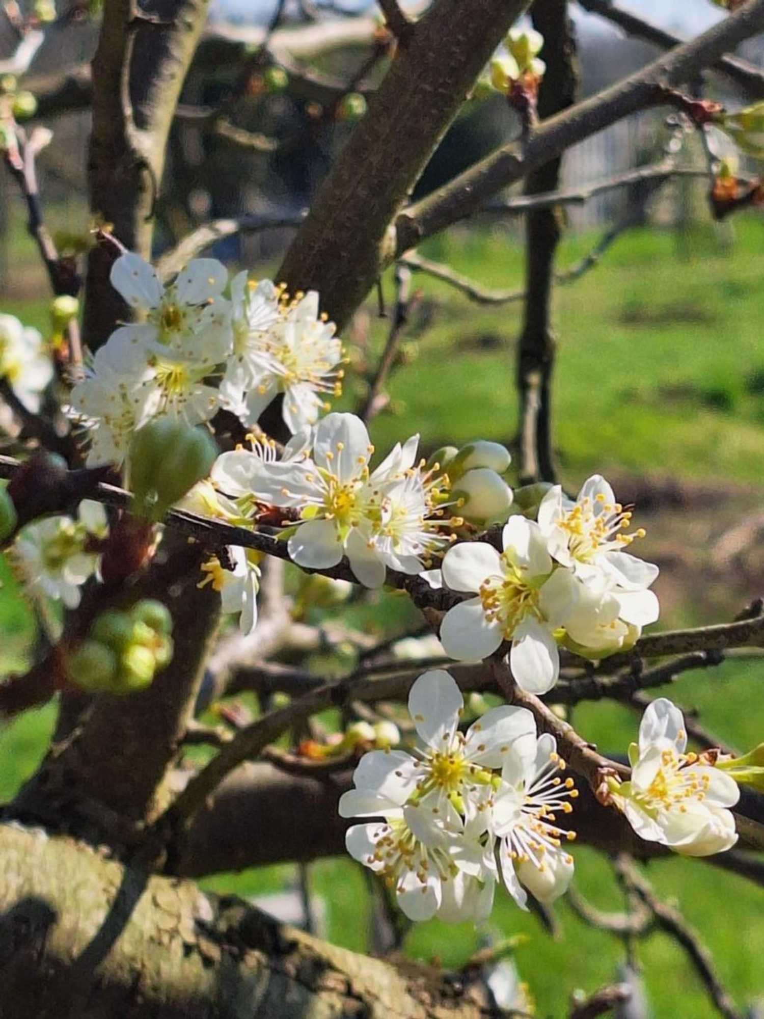 Gift card for Kade10buren