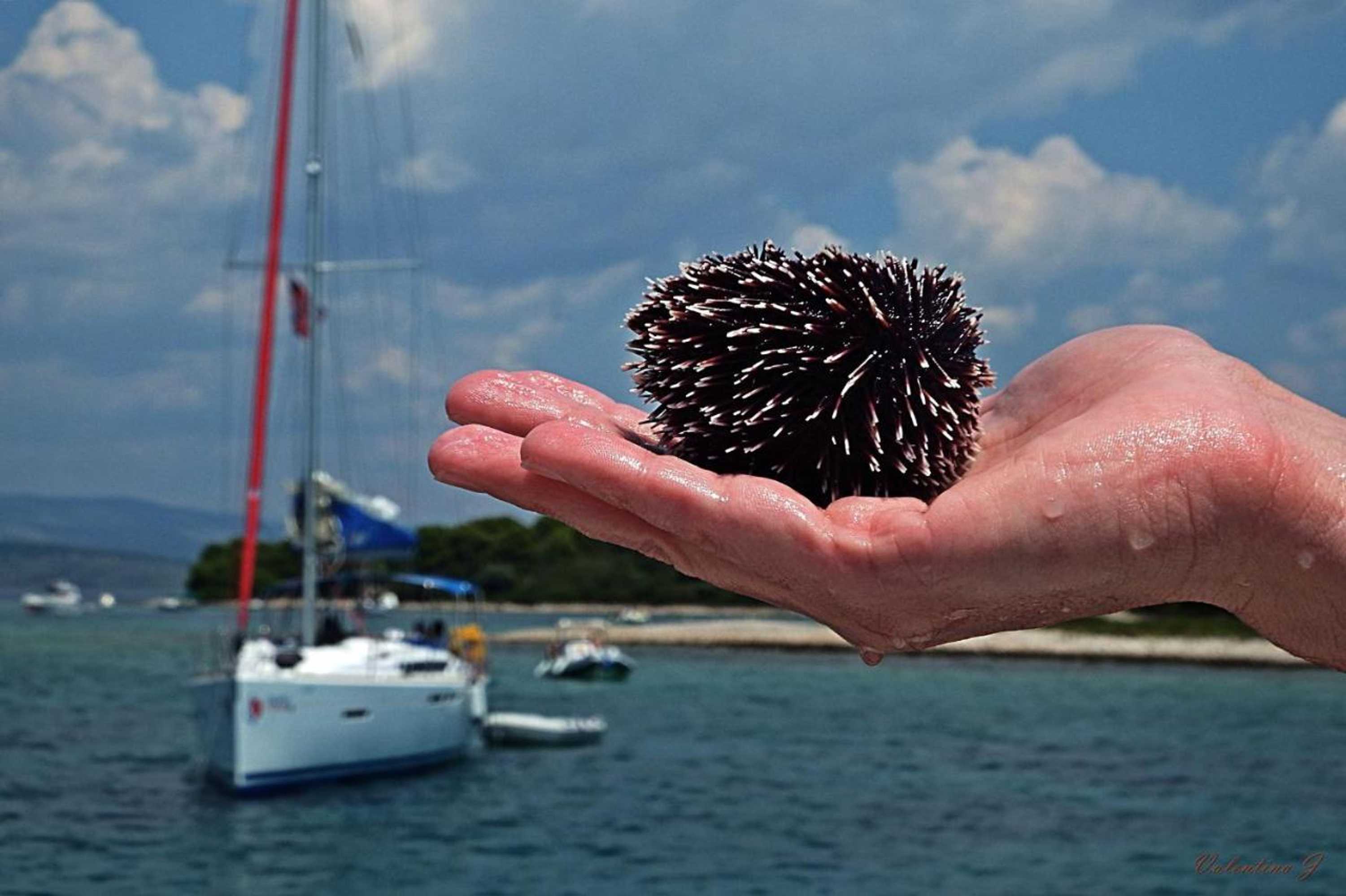 Gift card for Villa Blanka