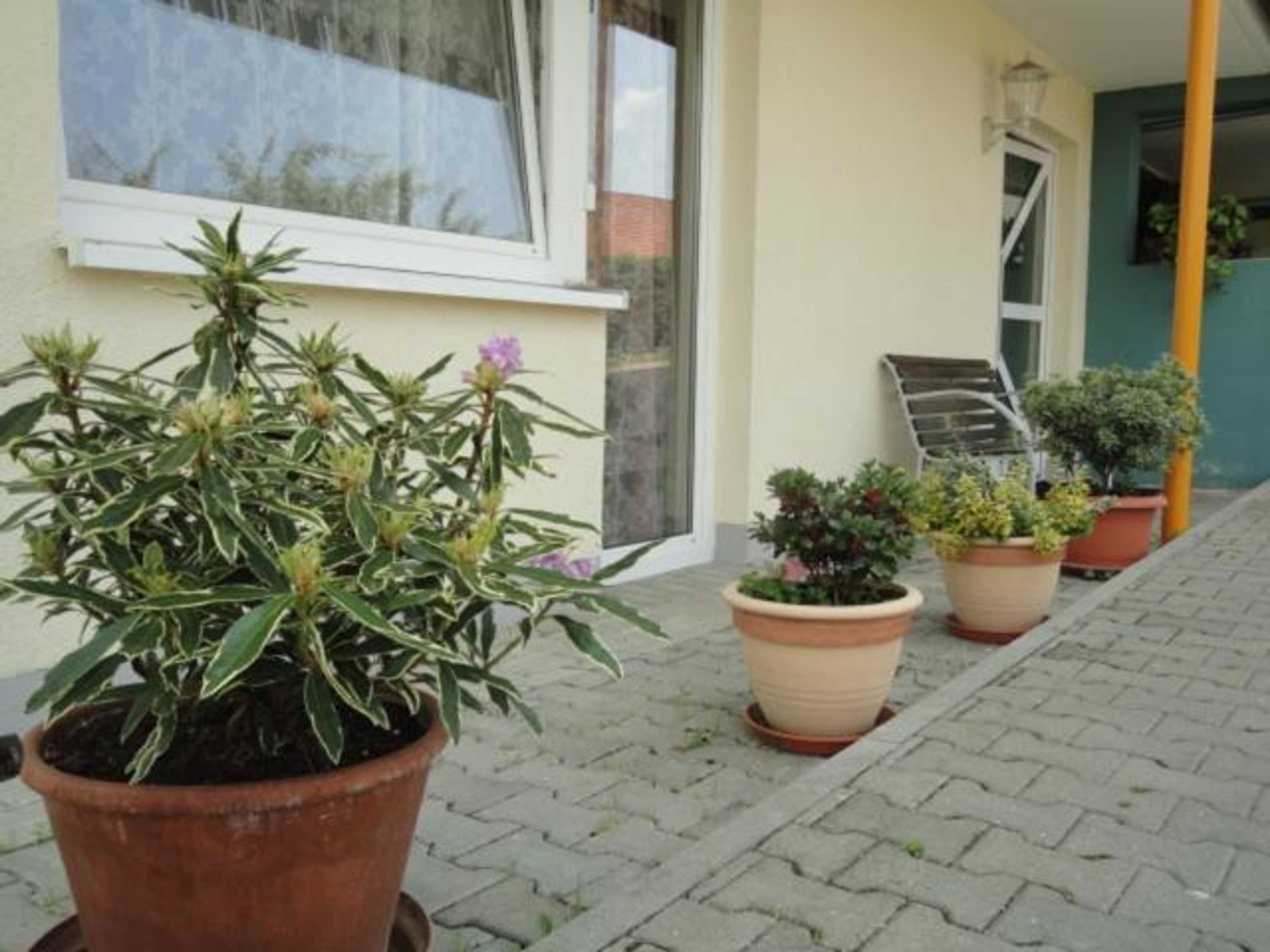 Gift card for Landgasthof Traube