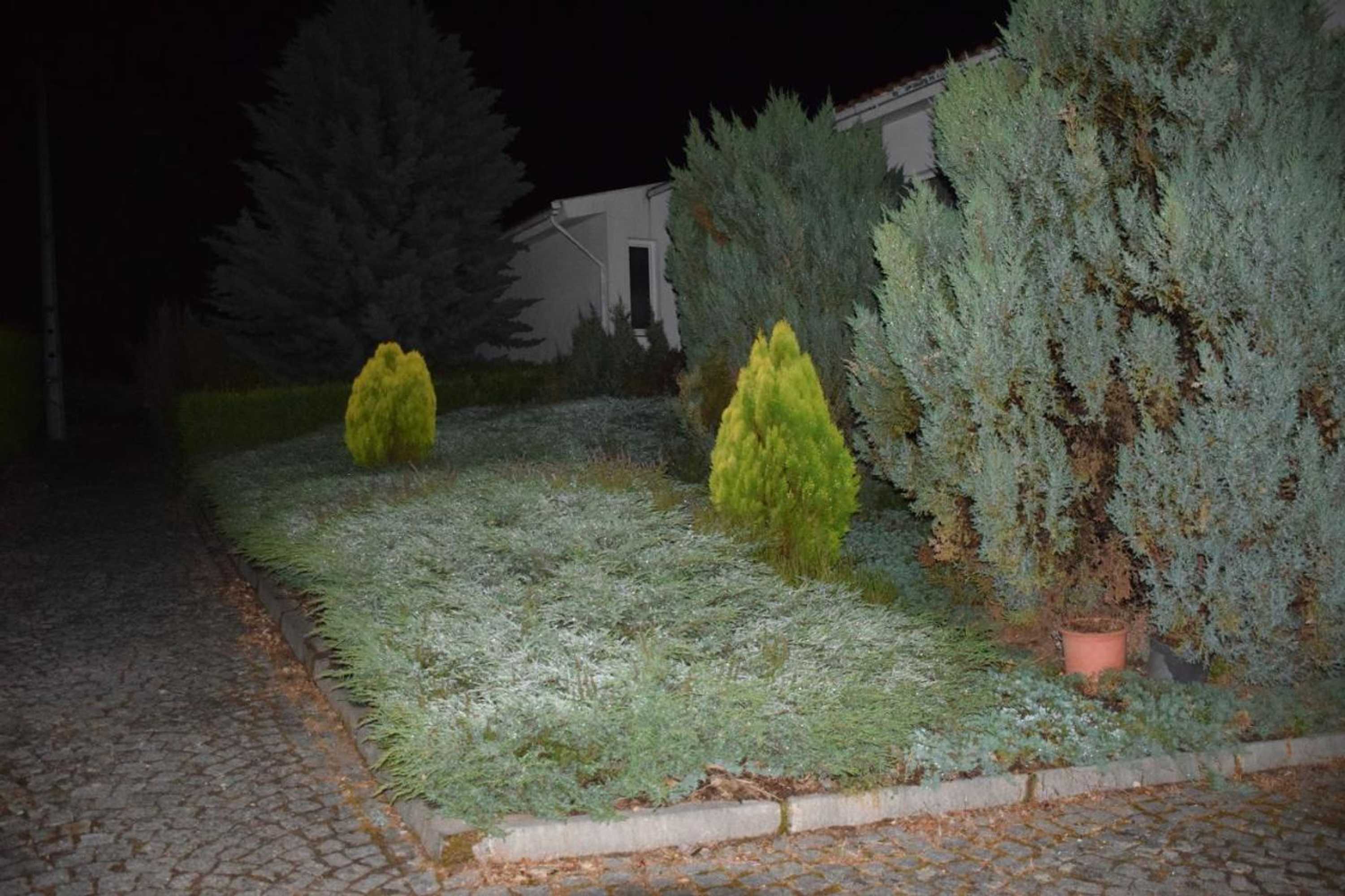 Gift card for A Casa da Sofia