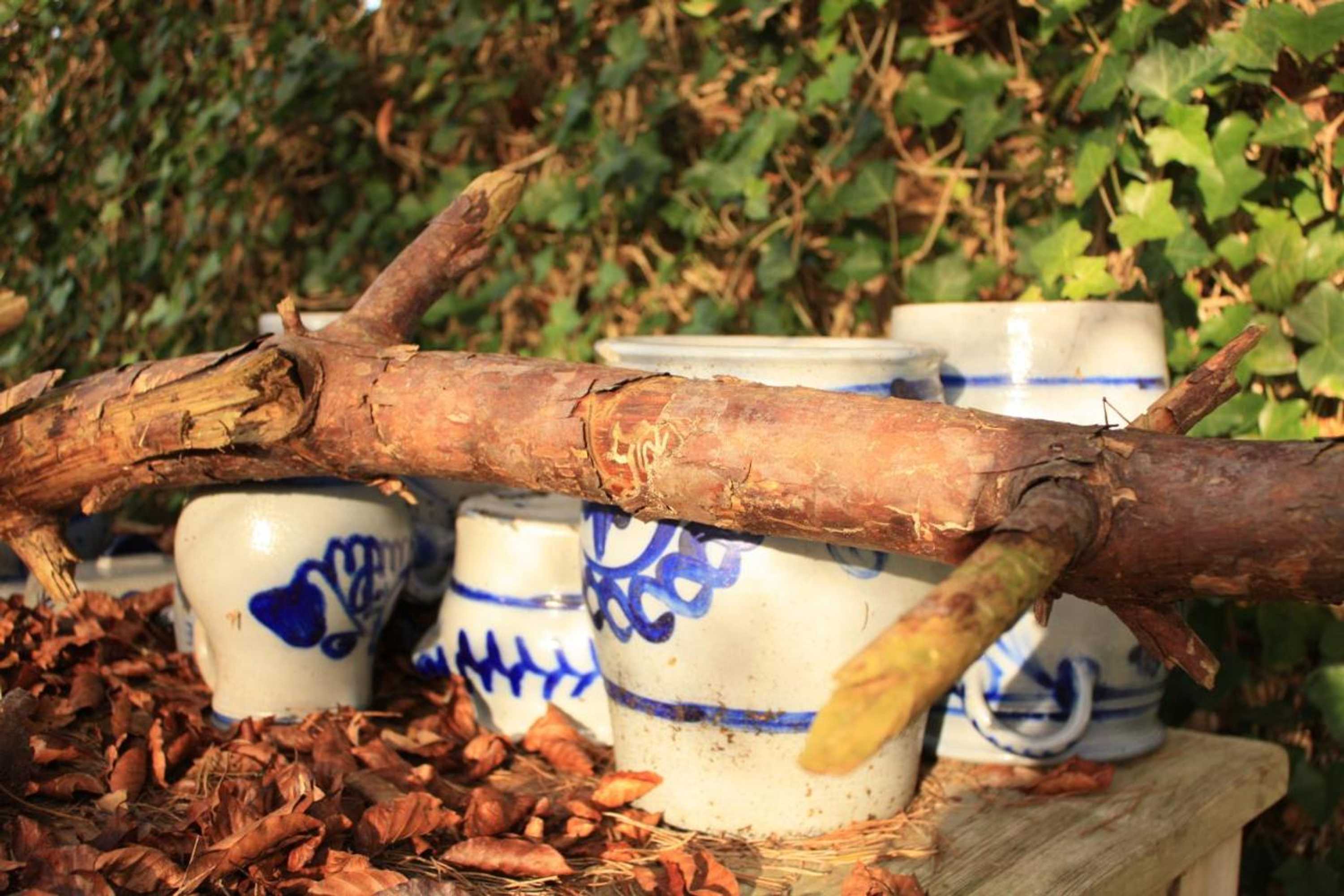 Gift card for B&b Schipborg