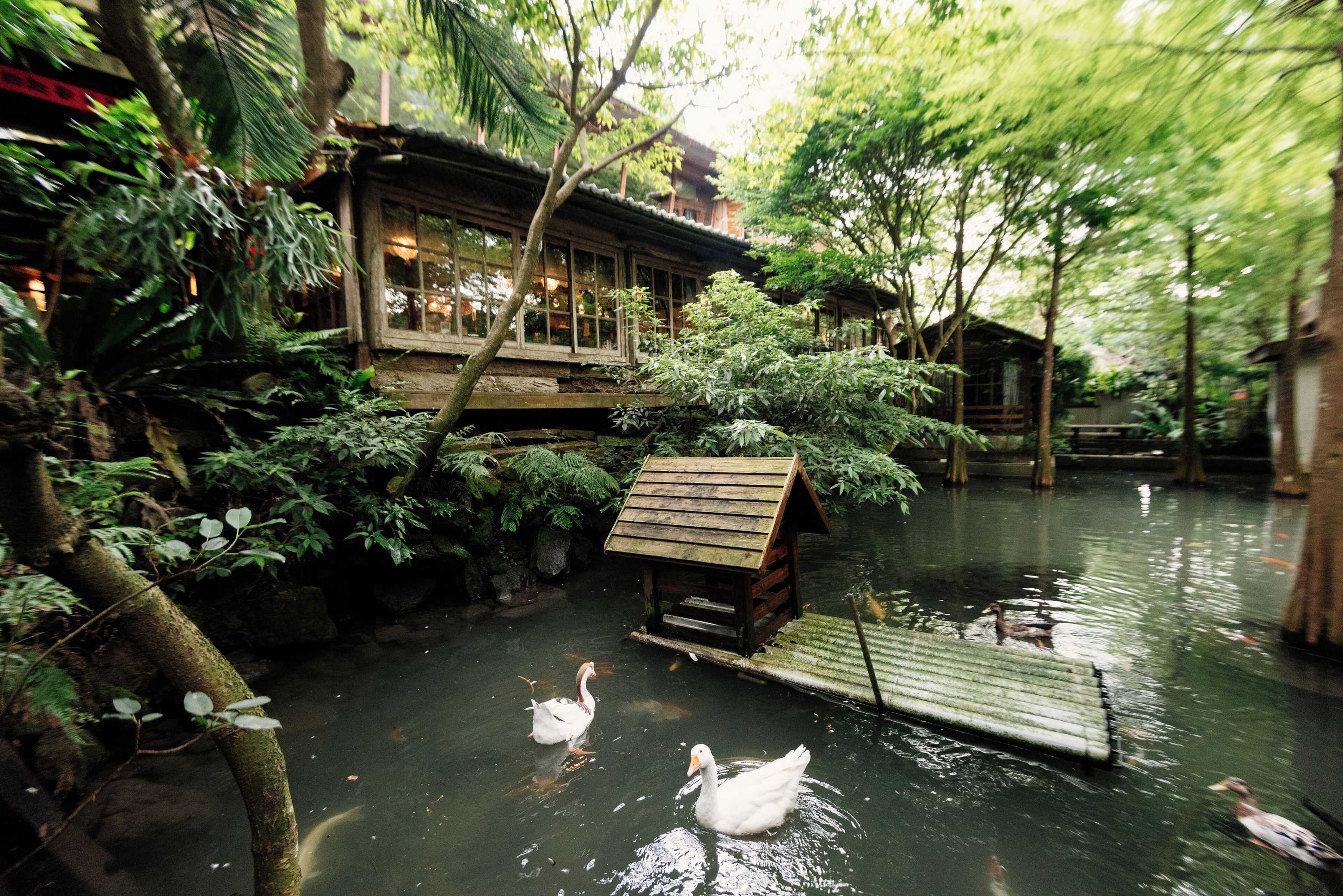 Gift card for Zhuo Ye Cottage