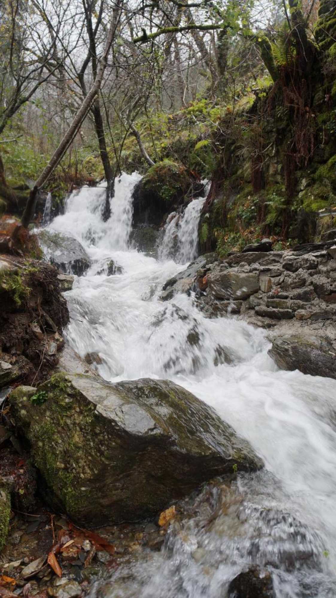 Gift card for Casa da Quelha