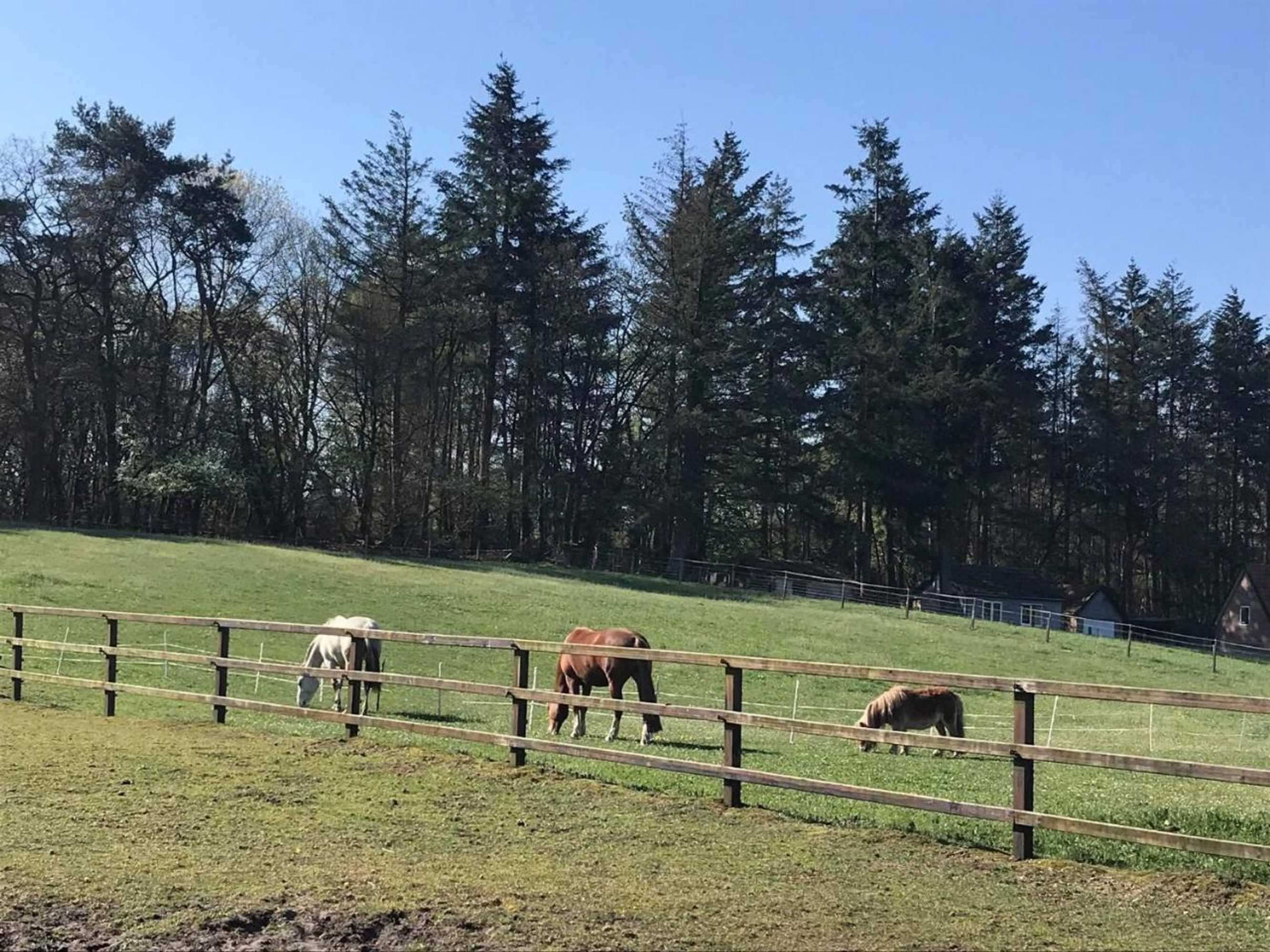 Gift card for Bed And Breakfast De Paalberg